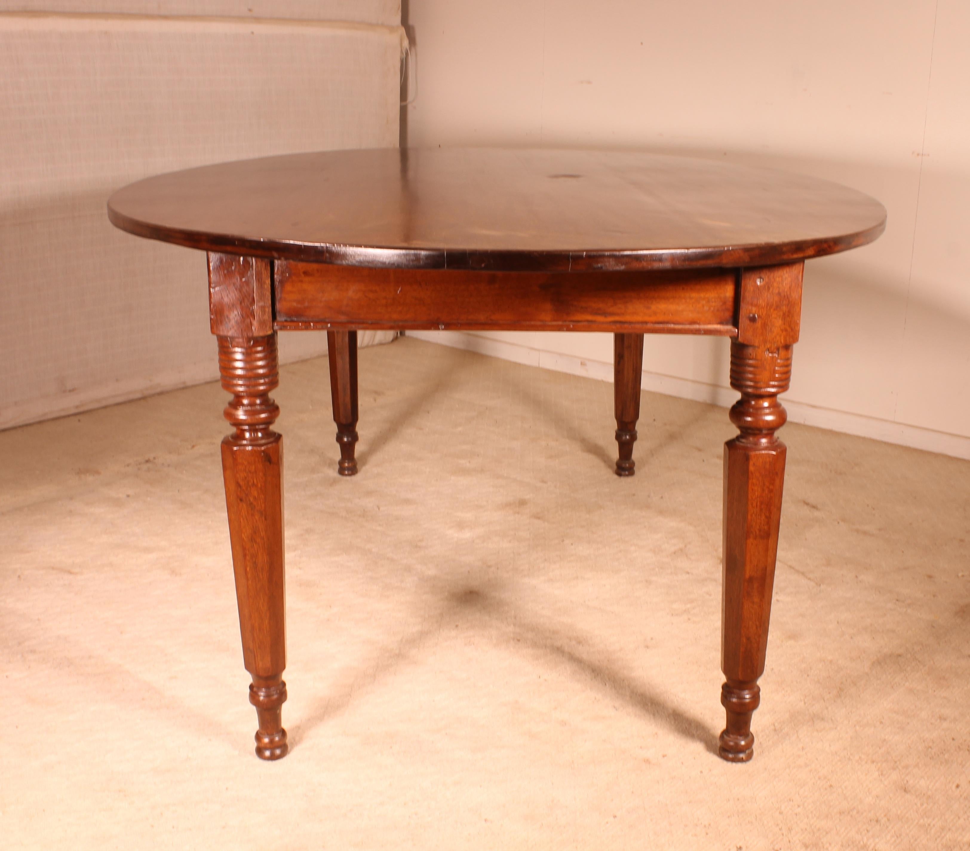 Wood Refectory Table Ellipse Shaped, 19th Century