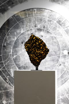 Reflective Meteorite Slice with Peridot Crystals