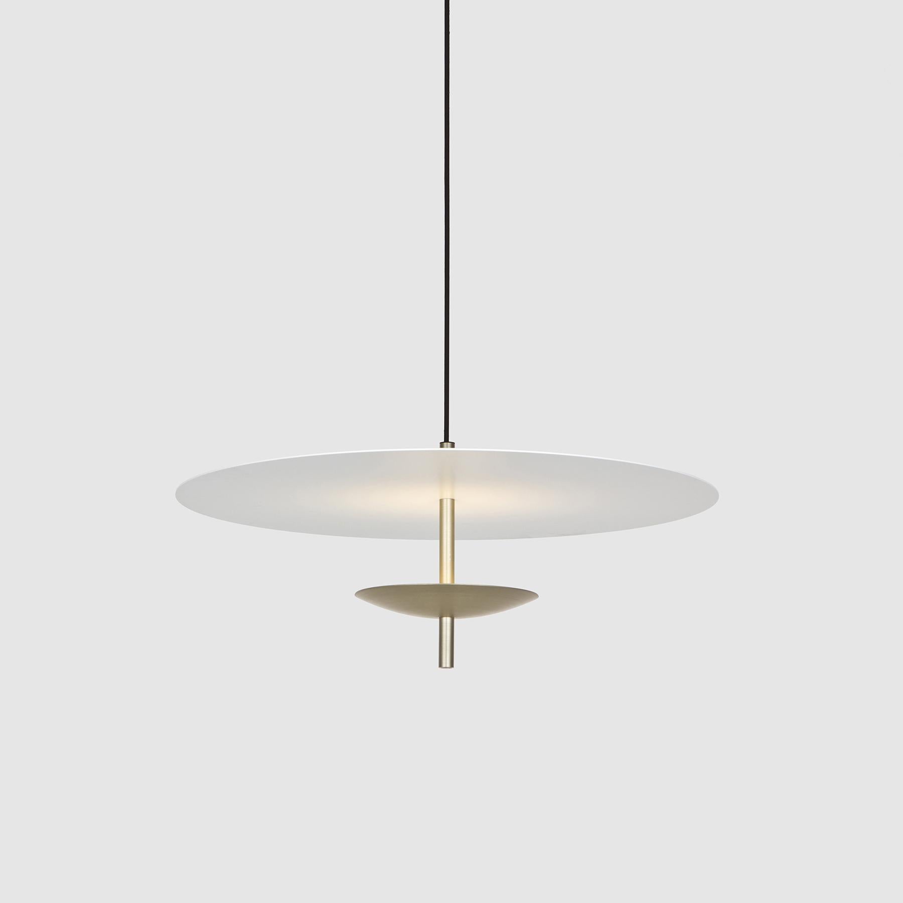 reflective pendant light