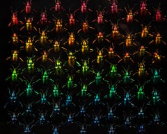 Refractions by Hasharat