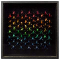 Refracciones de Hasharat