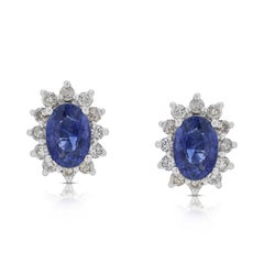 Regal 0.72ct Sapphire and Diamond Stud Earrings in 18K White Gold