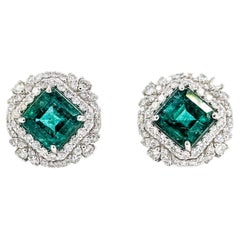 Orecchini Regal Emerald
Diamond in platino