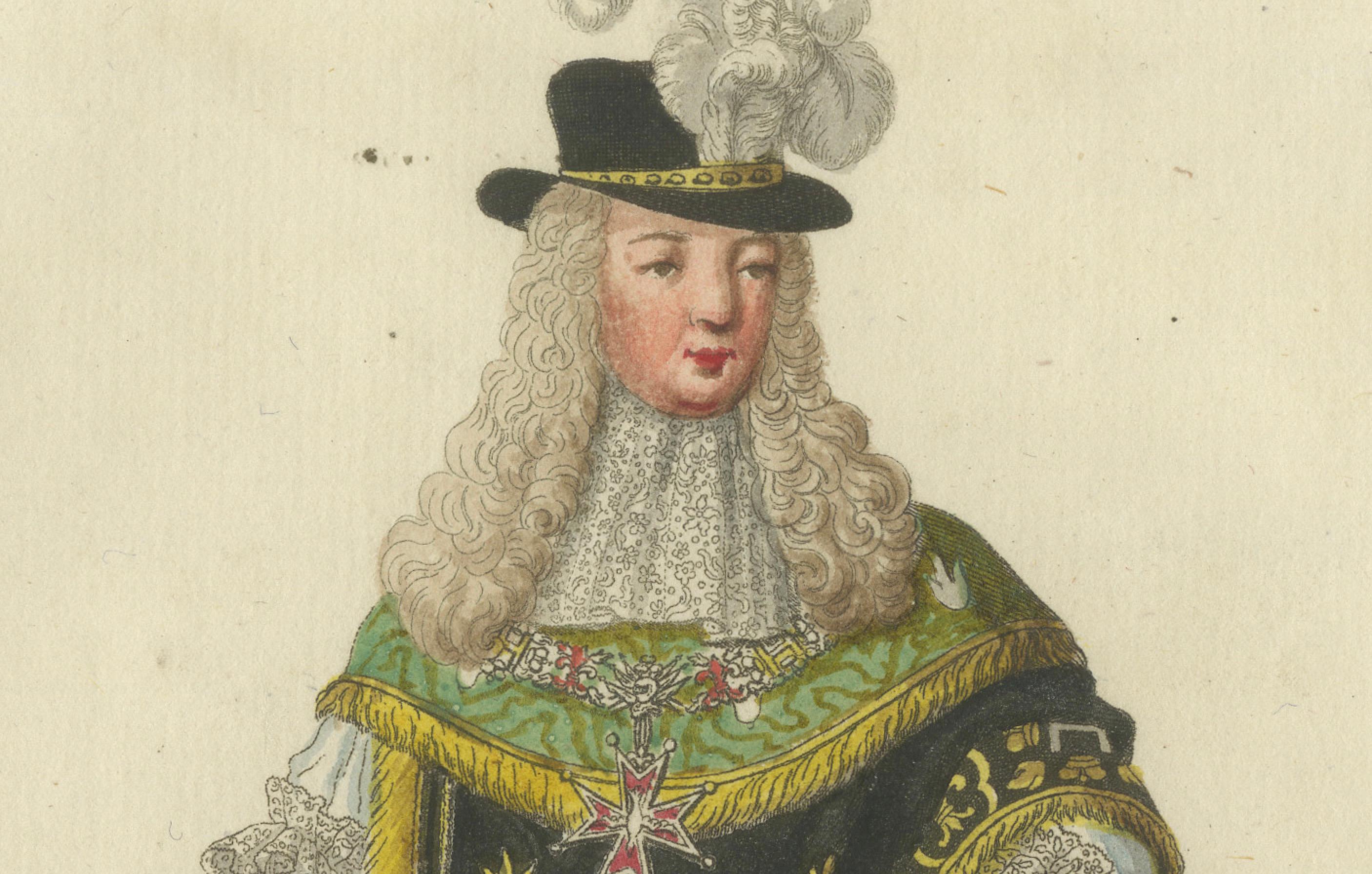 Regal Knight of the Order of the Holy Spirit – A Rare 18th-Century Masterpiece In Good Condition For Sale In Langweer, NL
