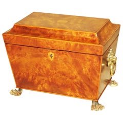 Regency 19th Century Burr Elm Sarcophagus Tea Caddy