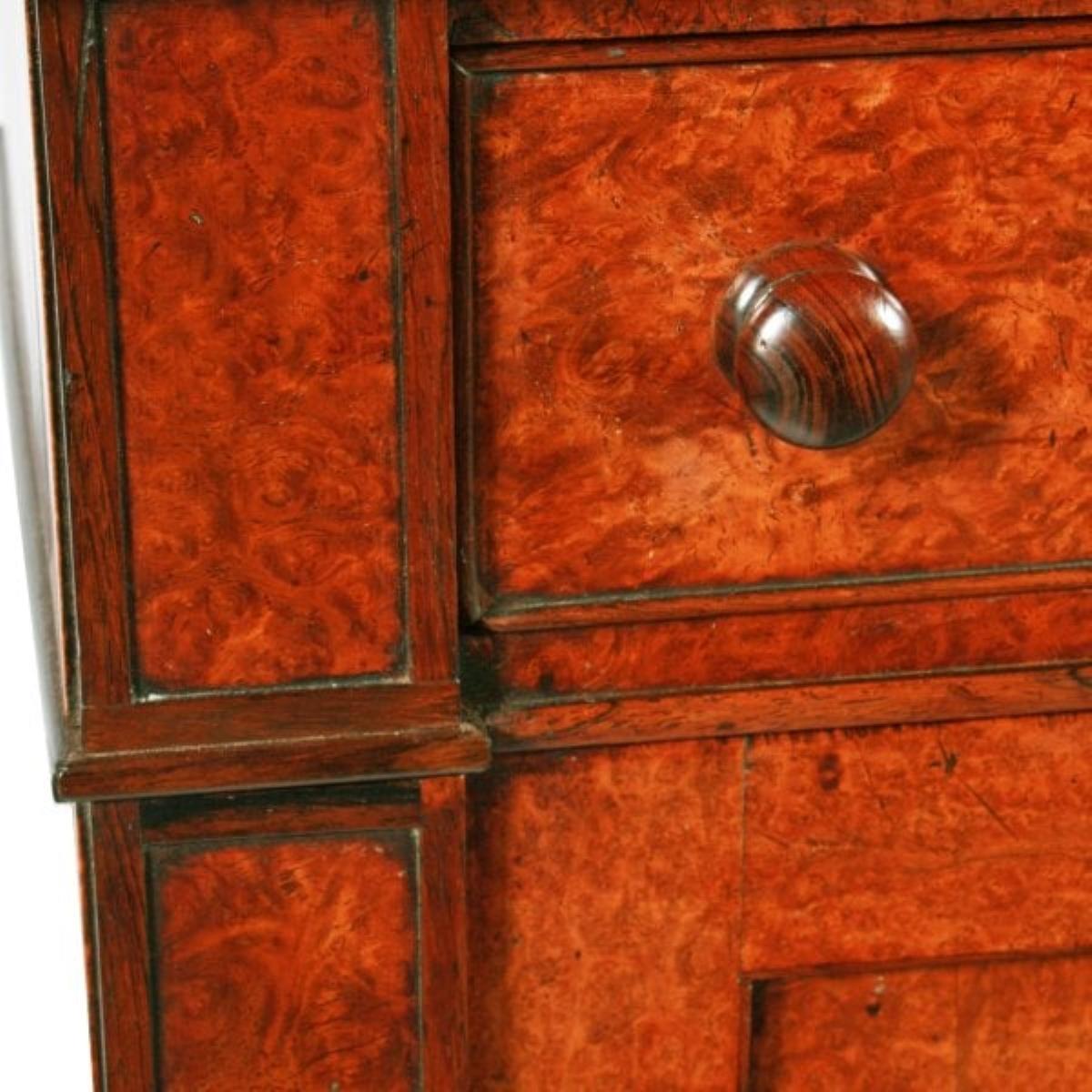 Regency Amboyna & Rosewood Side Cabinet, 19th Century  For Sale 3