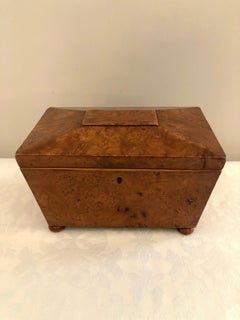 Regency Antique 19th Century Sarcophagus Shaped Burr Elm Tea Caddy