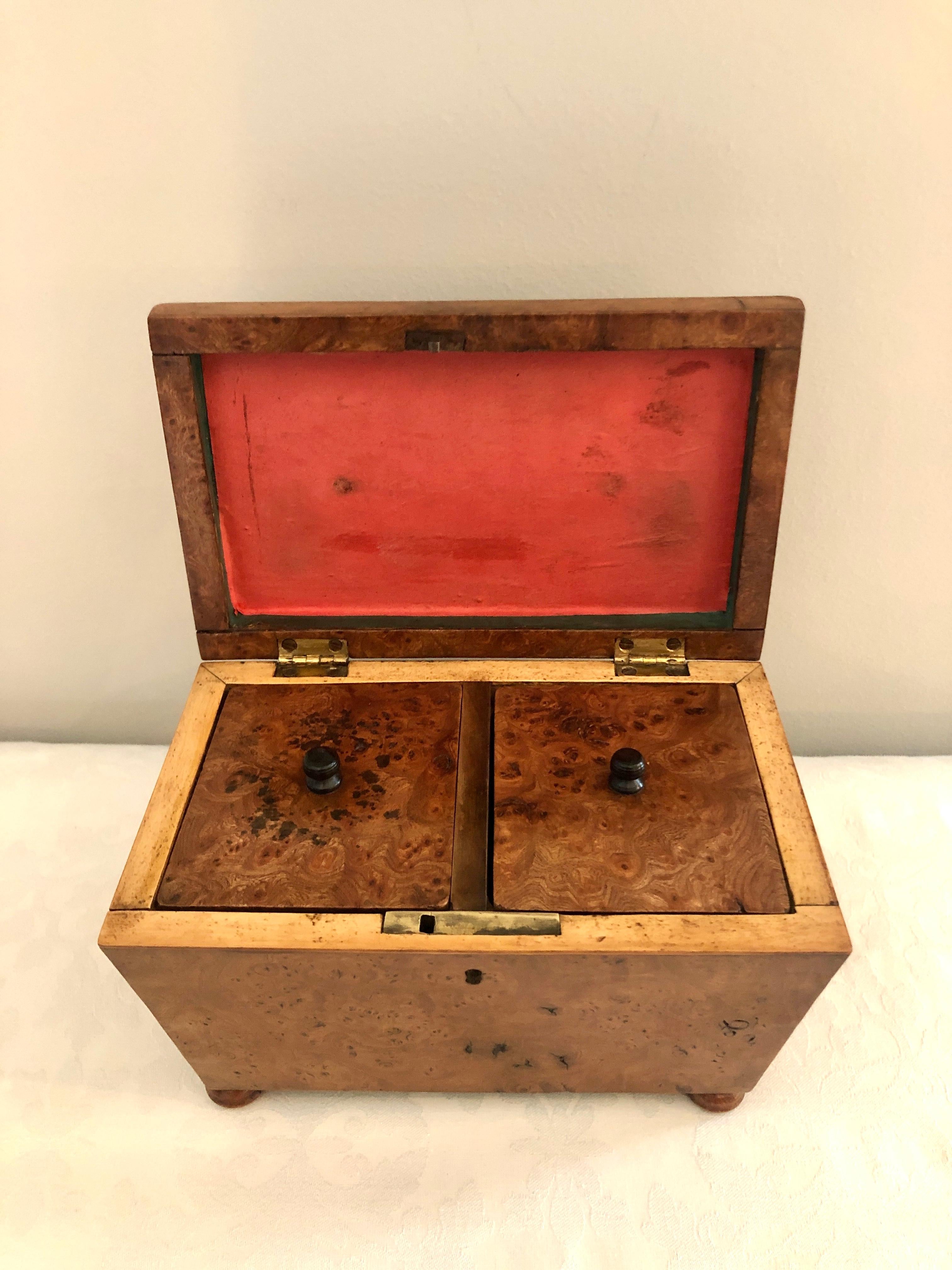 Regency Ancienne boîte à thé de style Régence du 19ème siècle en forme de sarcophage en loupe d'orme en vente