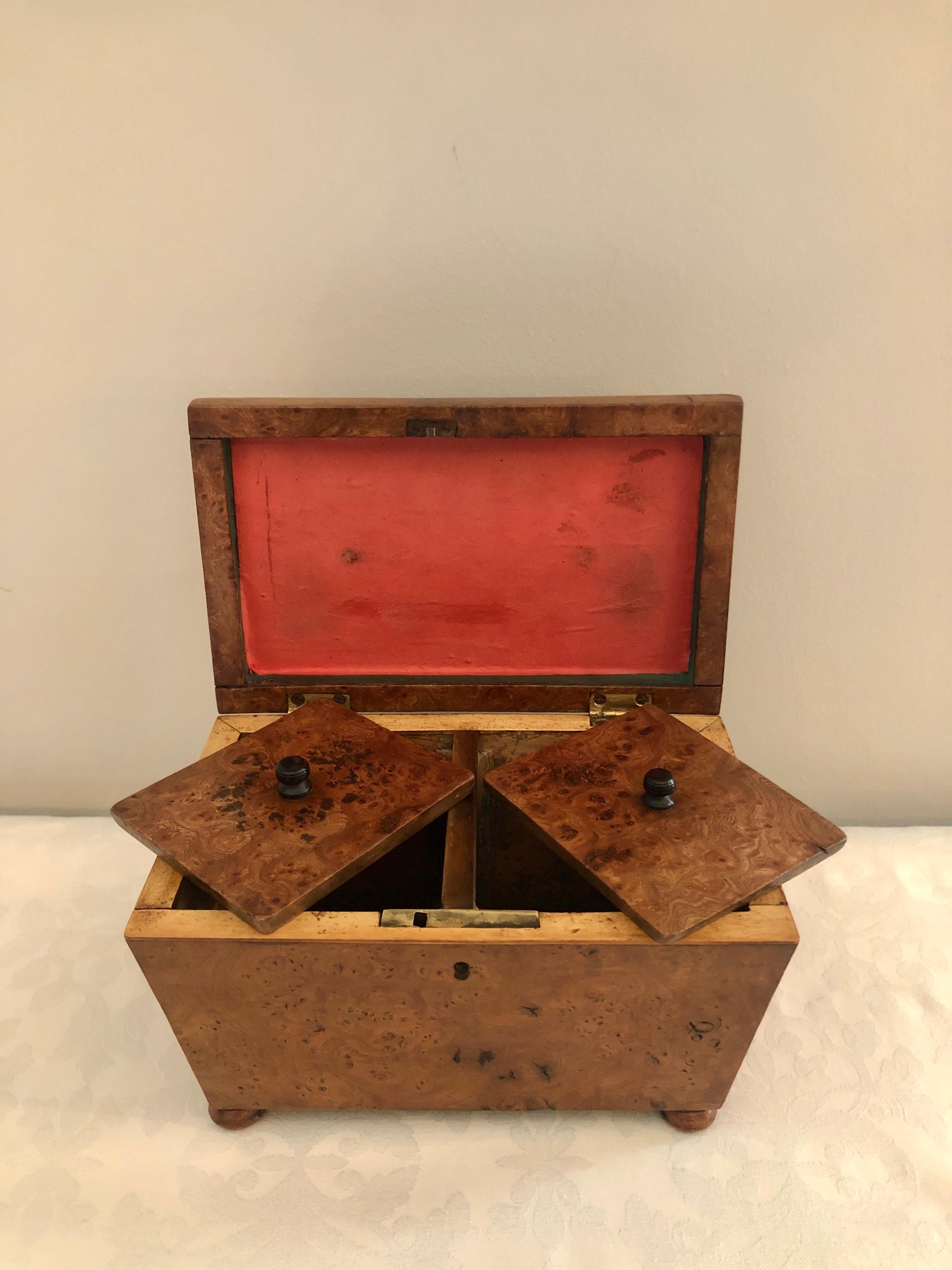 Anglais Ancienne boîte à thé de style Régence du 19ème siècle en forme de sarcophage en loupe d'orme en vente