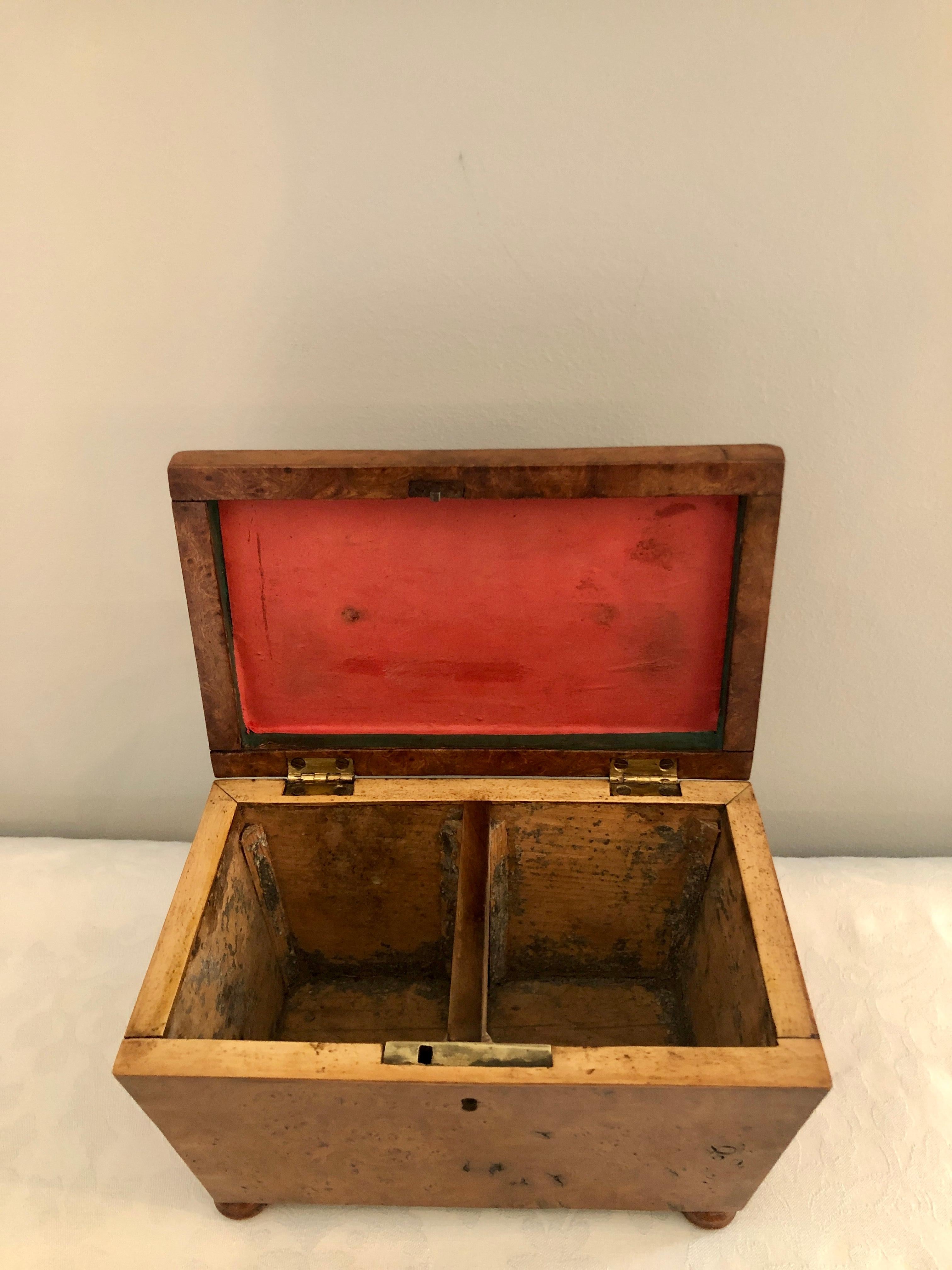Regency Antique 19th Century Sarcophagus Shaped Burr Elm Tea Caddy For Sale 1
