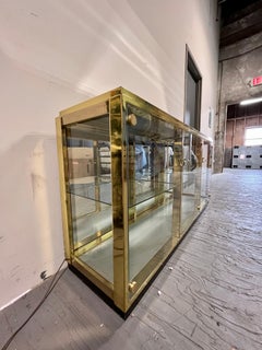 Regency Brass Mirrored Display Case