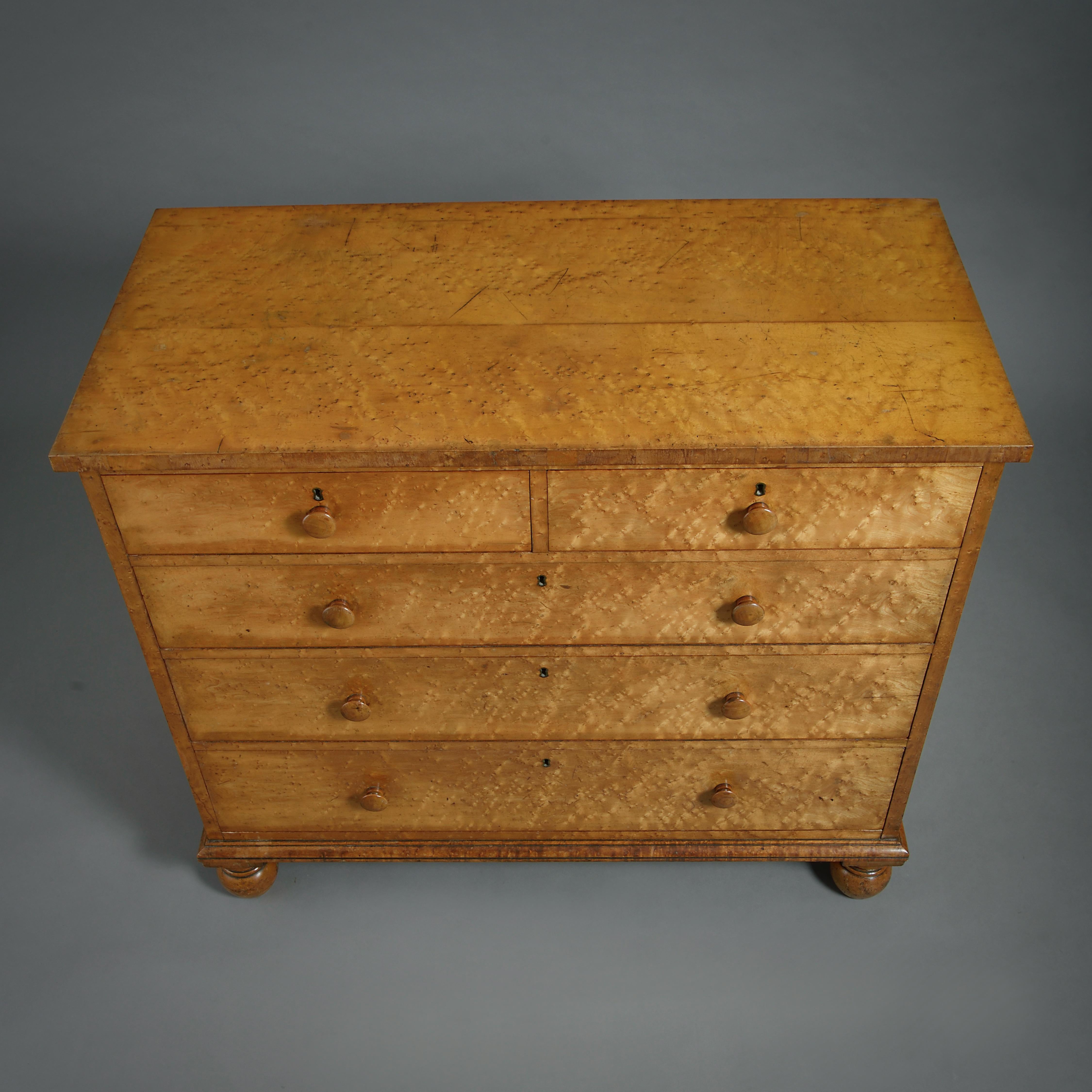 19th Century Regency Burr-Maple Chest of Drawers For Sale