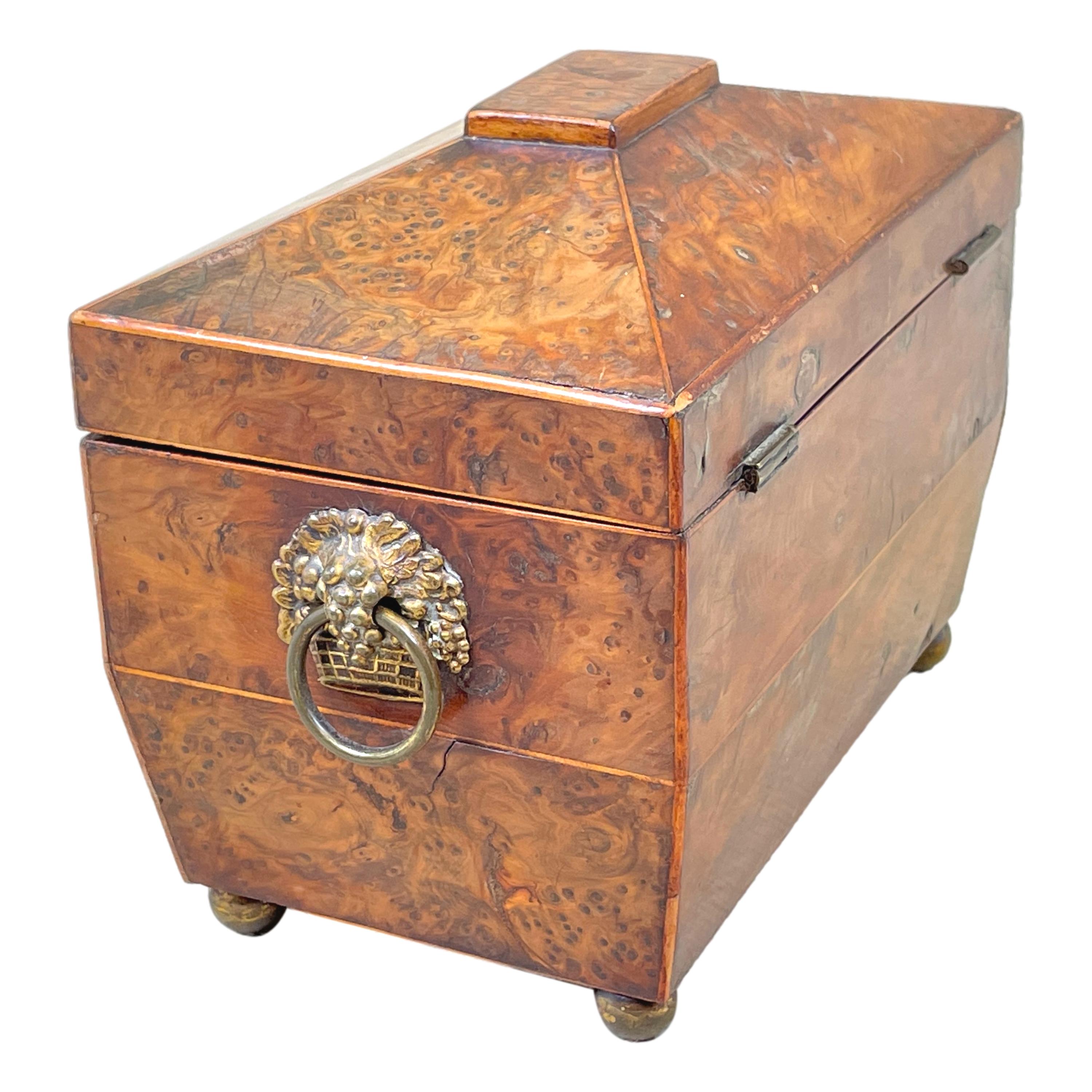 Regency Burr Yew Tea Caddy In Good Condition For Sale In Bedfordshire, GB