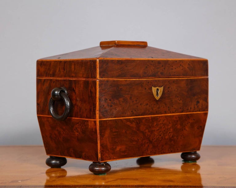 Regency Burr Yew Wood Tea Caddy at 1stDibs