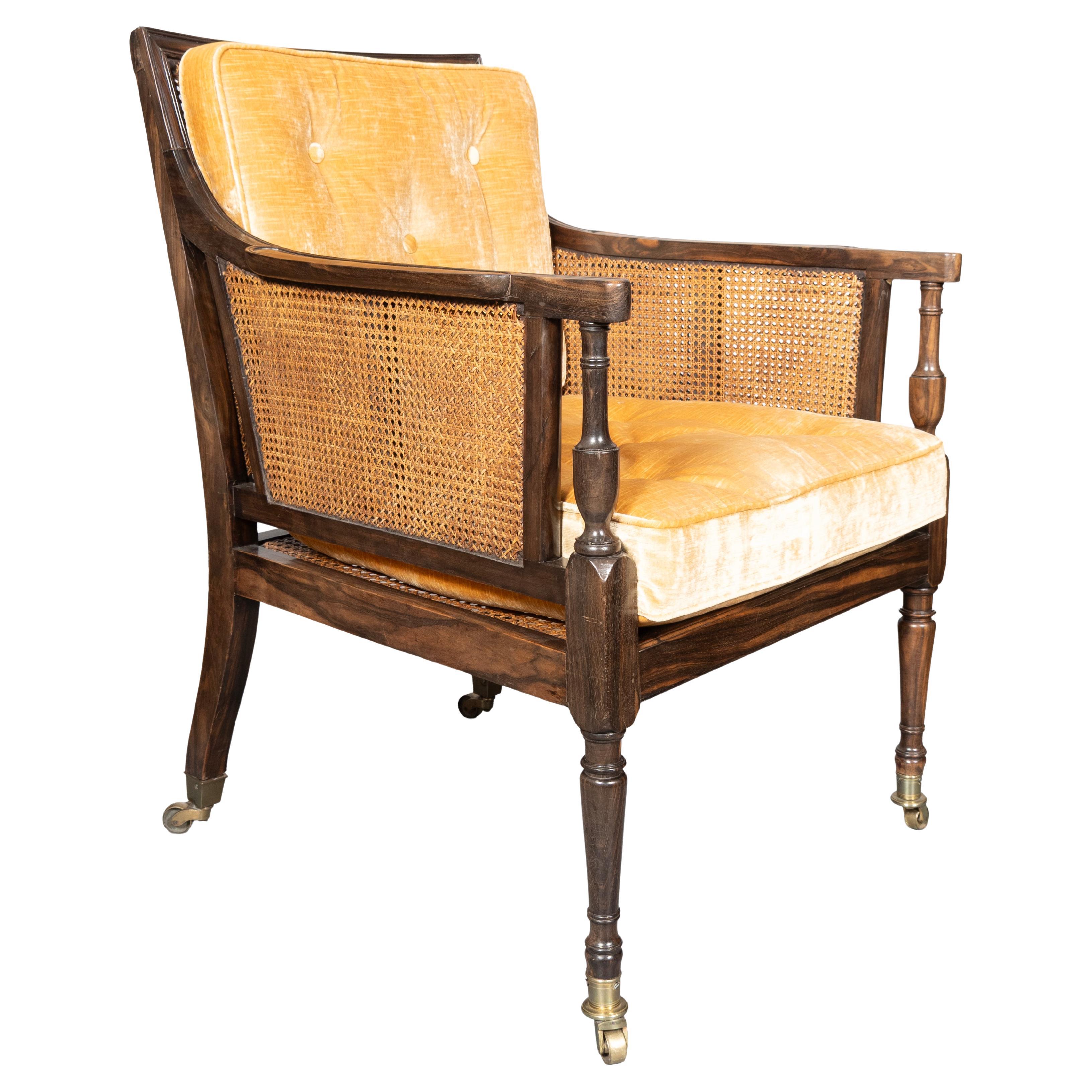 Regency Calamander And Caned Bergere