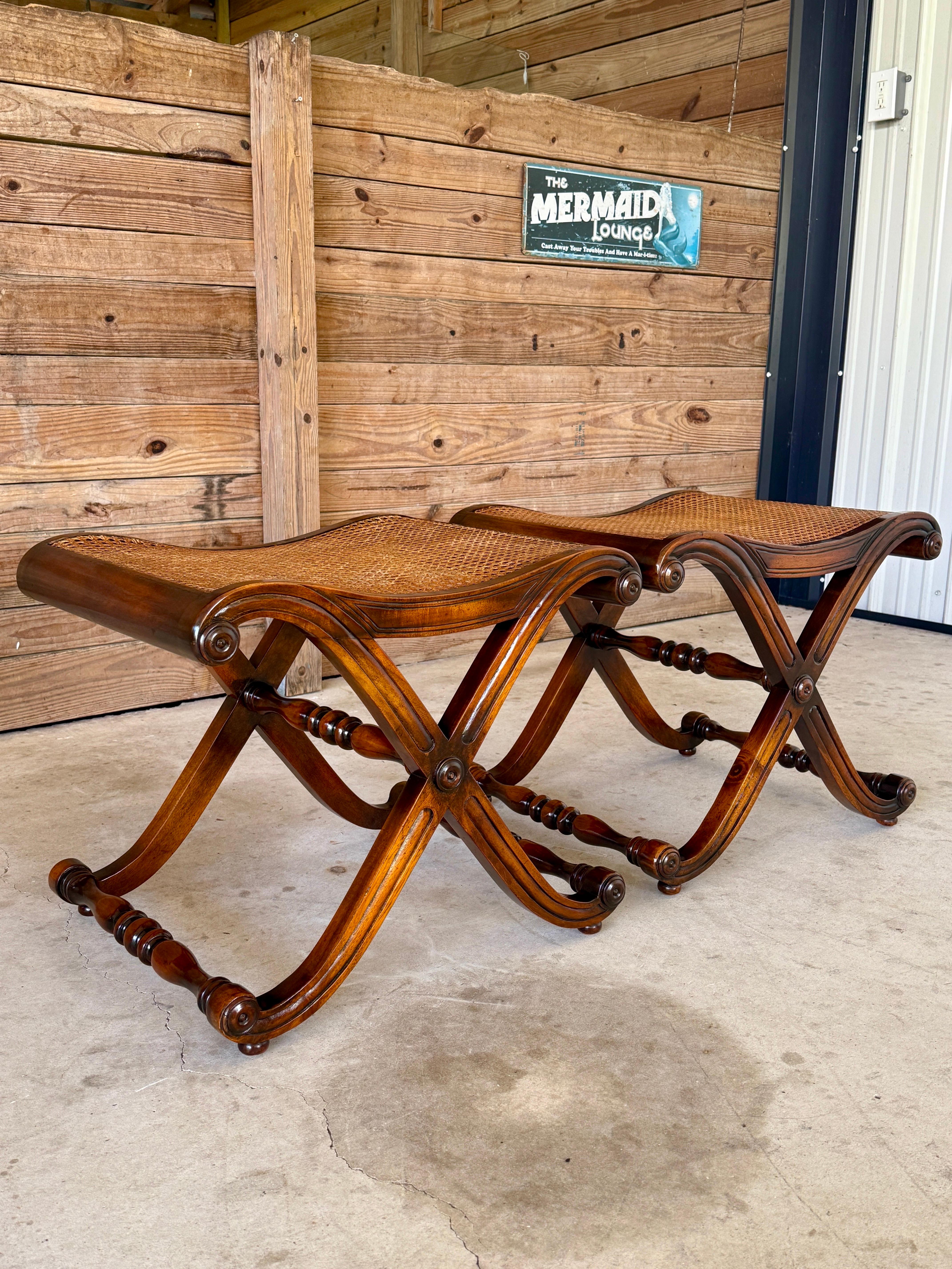 Regency Campaign-Style X-Base Cane Stools in the Manner of Gillows of Lancaster- For Sale 2