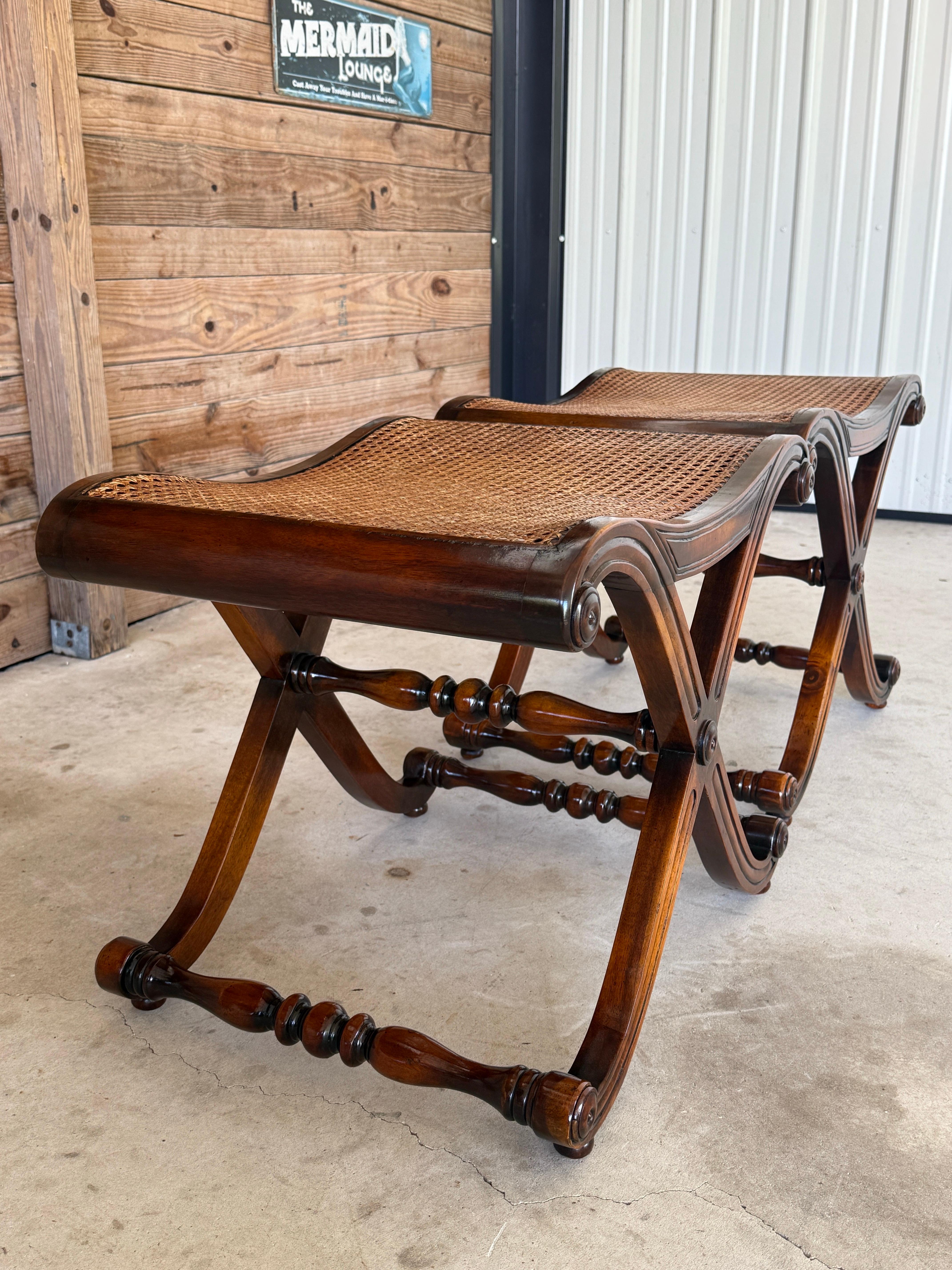 Regency Campaign-Style X-Base Cane Stools in the Manner of Gillows of Lancaster- For Sale 7
