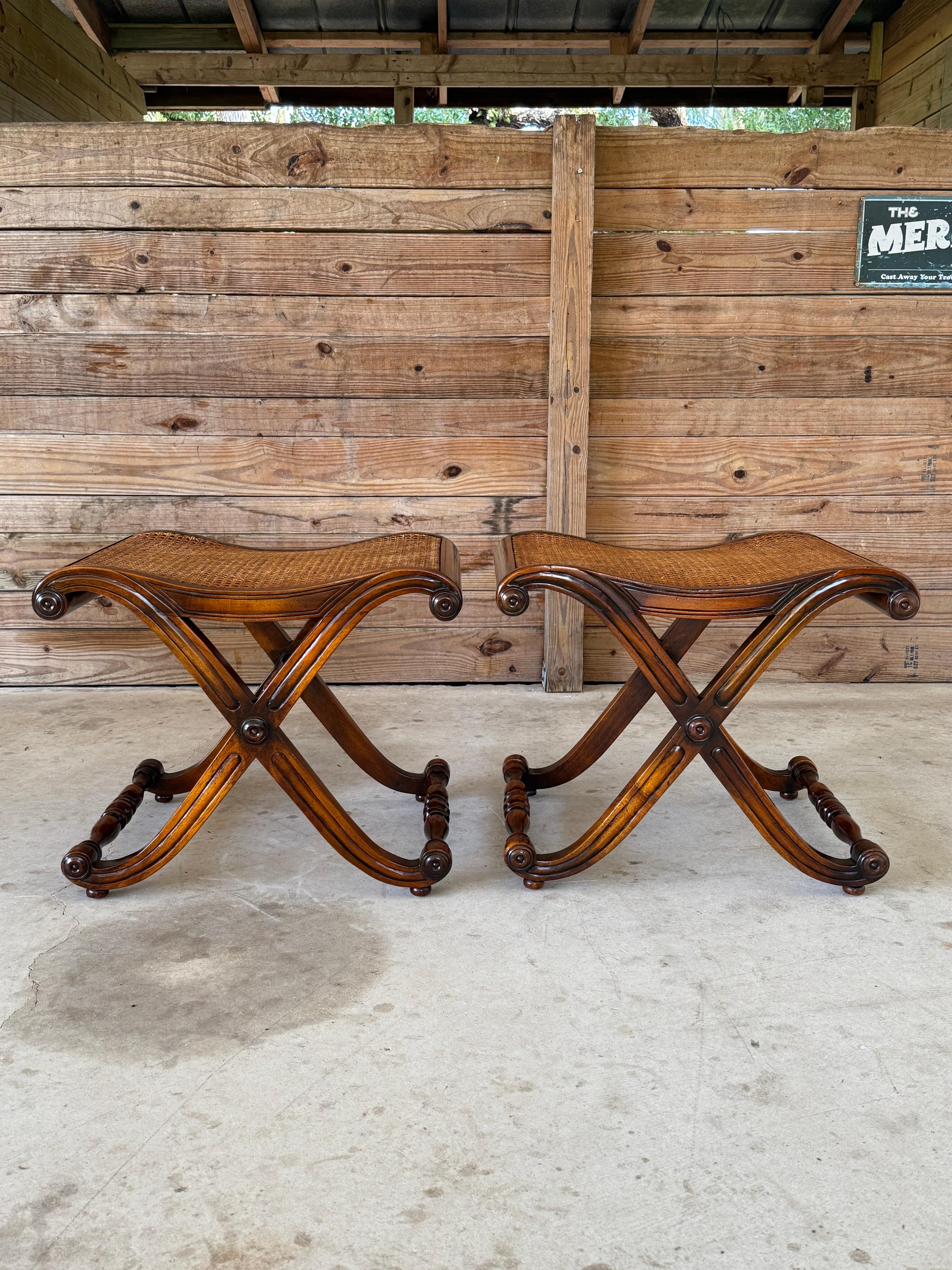 Regency Campaign-Style X-Base Cane Stools in the Manner of Gillows of Lancaster- For Sale 8