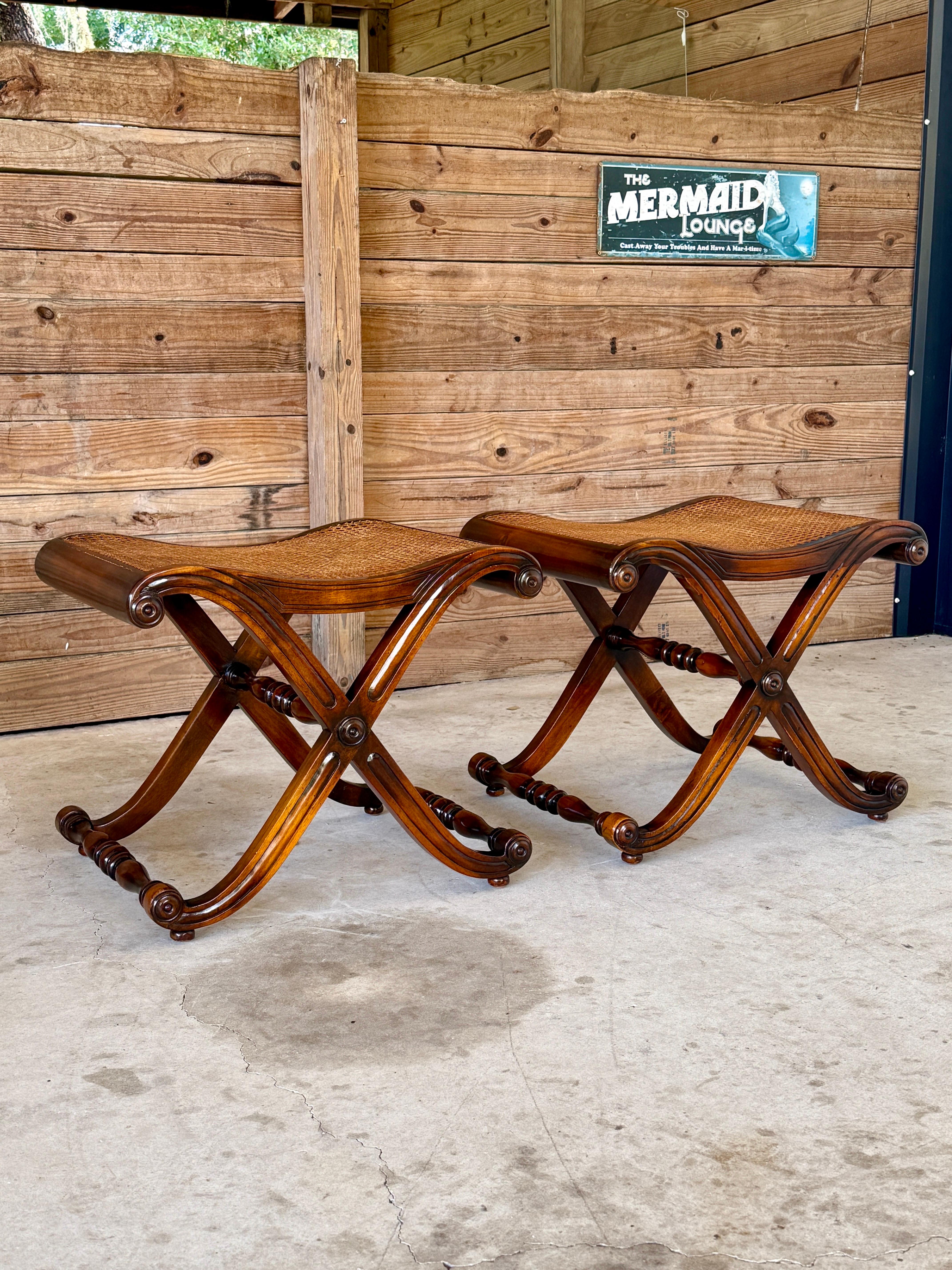 Regency Campaign-Style X-Base Cane Stools in the Manner of Gillows of Lancaster- For Sale 9