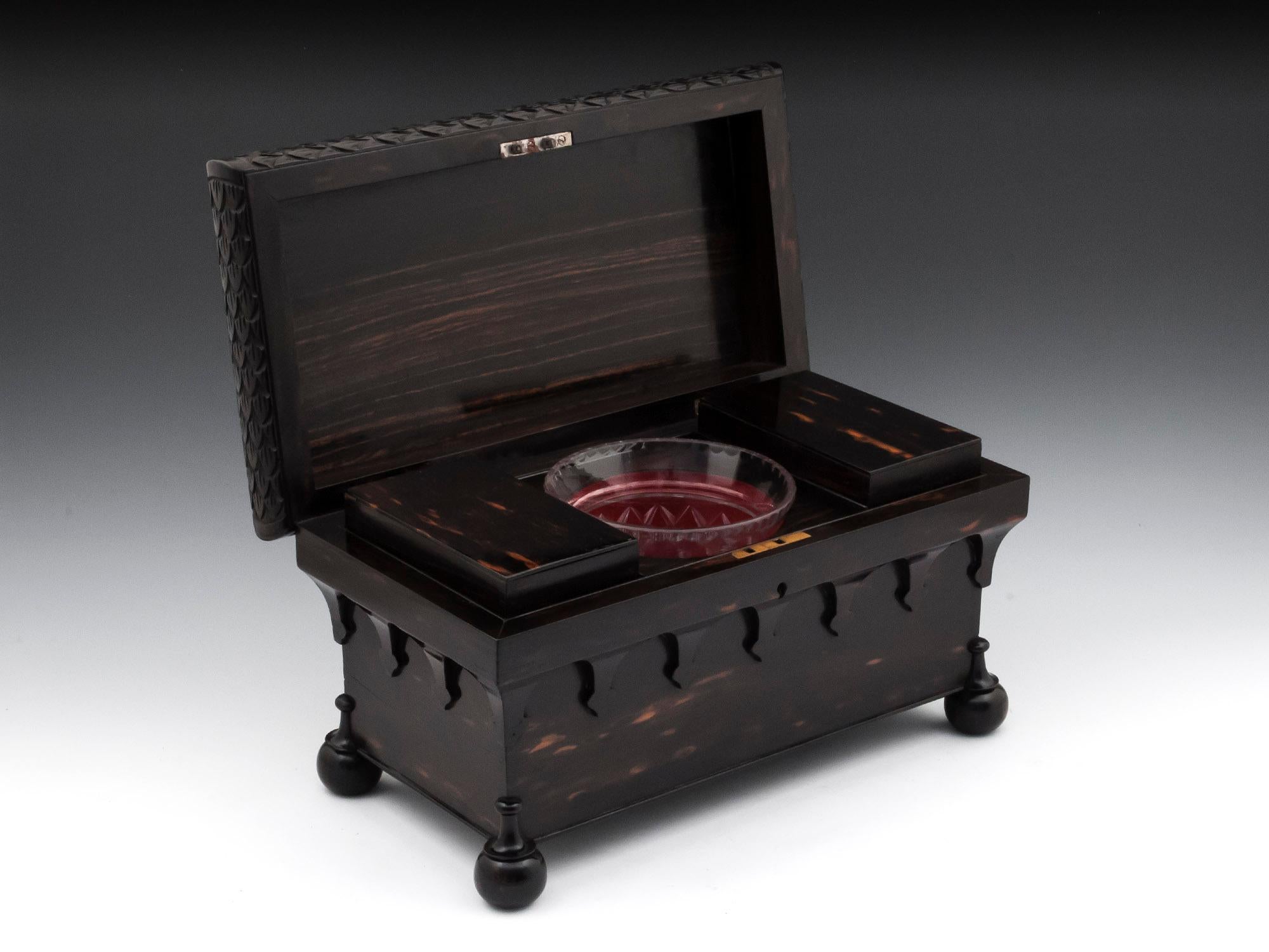 Regency Carved Coromandel Tea Chest Tea Caddy 19th Century 3