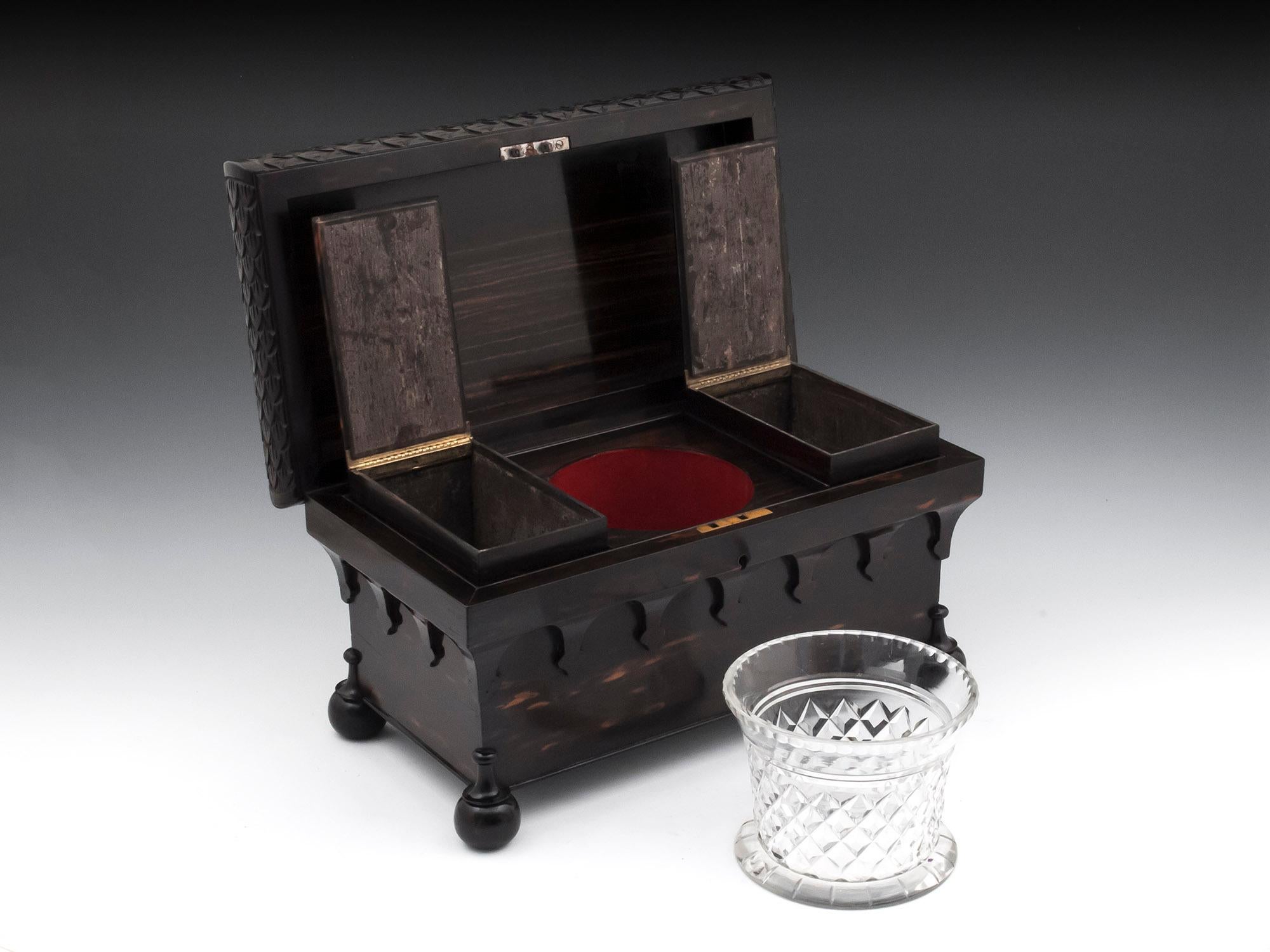 Regency Carved Coromandel Tea Chest Tea Caddy 19th Century 4