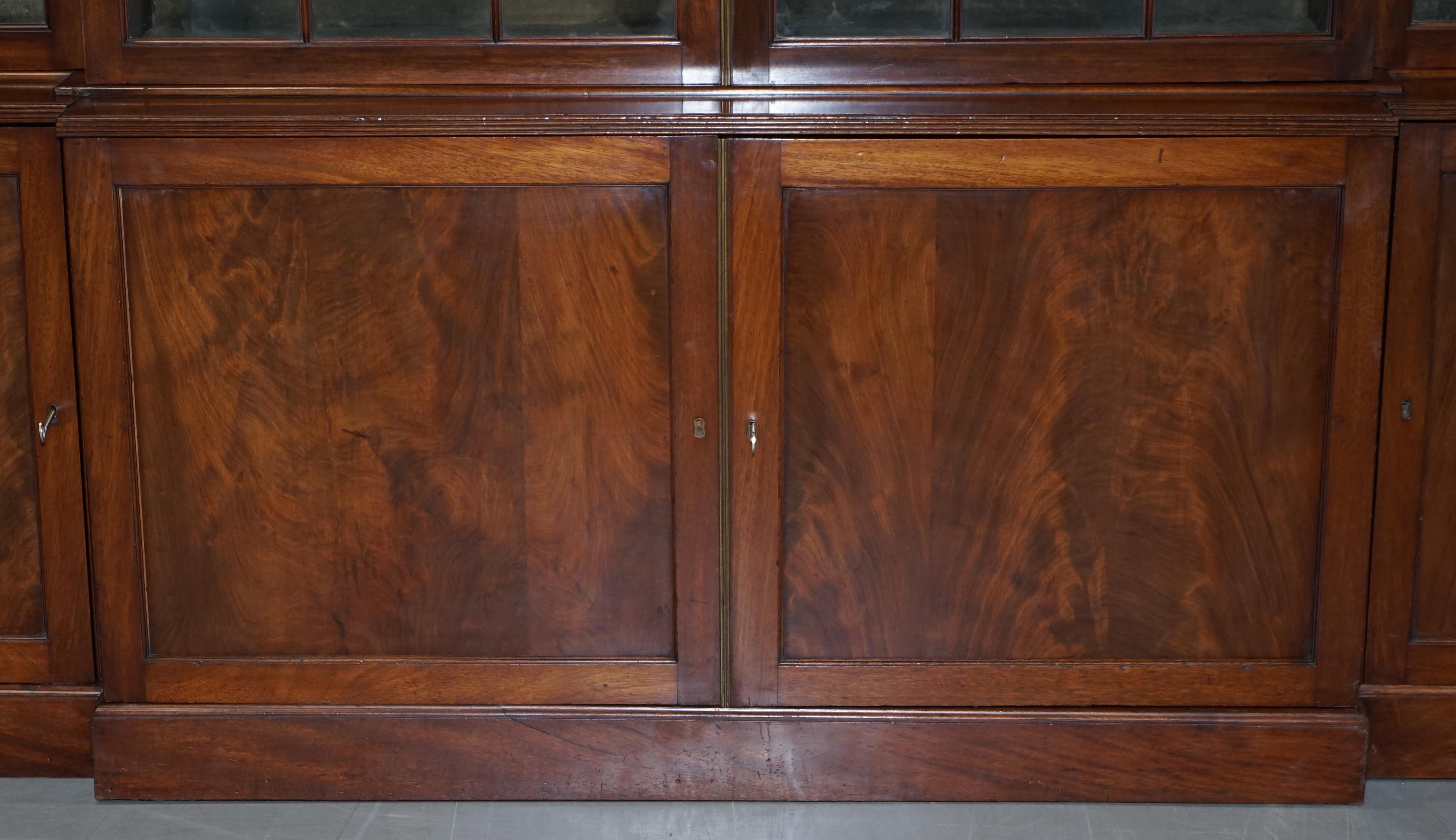Regency circa 1820 Astral Glazed Breakfront Library Bookcase Pharmacy Cabinet 5