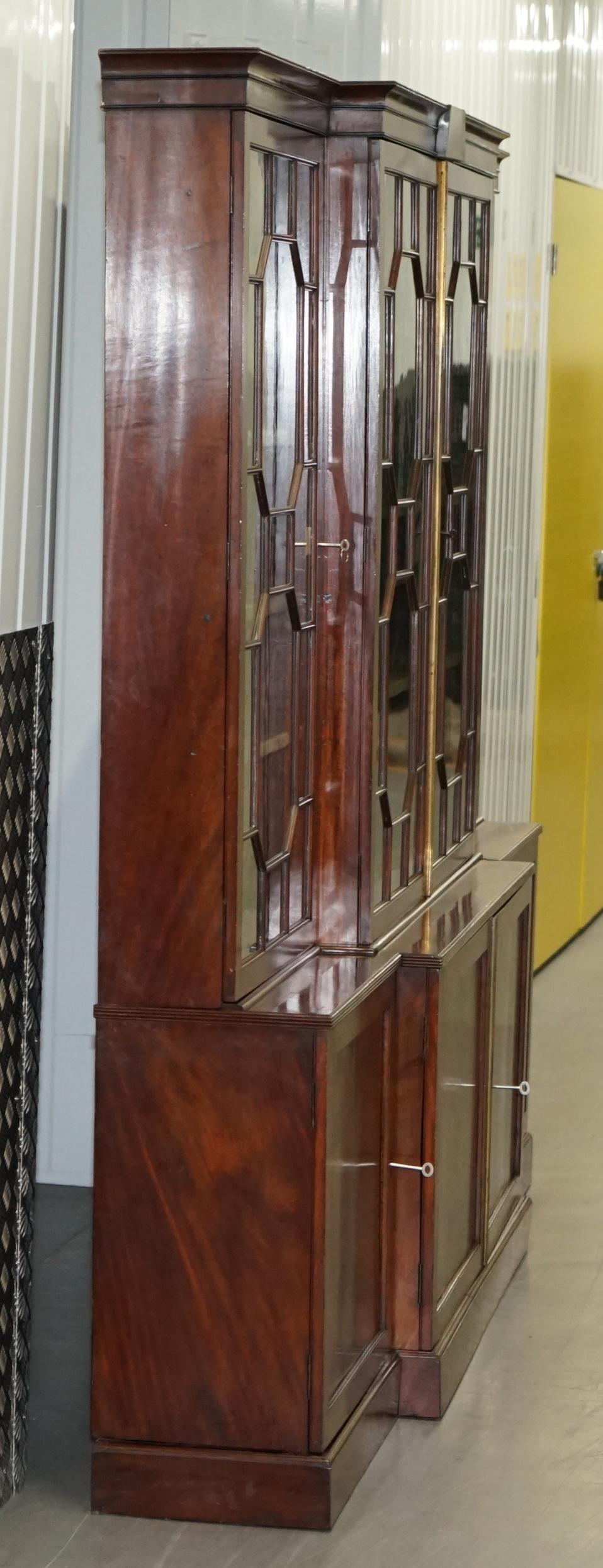Regency circa 1820 Astral Glazed Breakfront Library Bookcase Pharmacy Cabinet 6