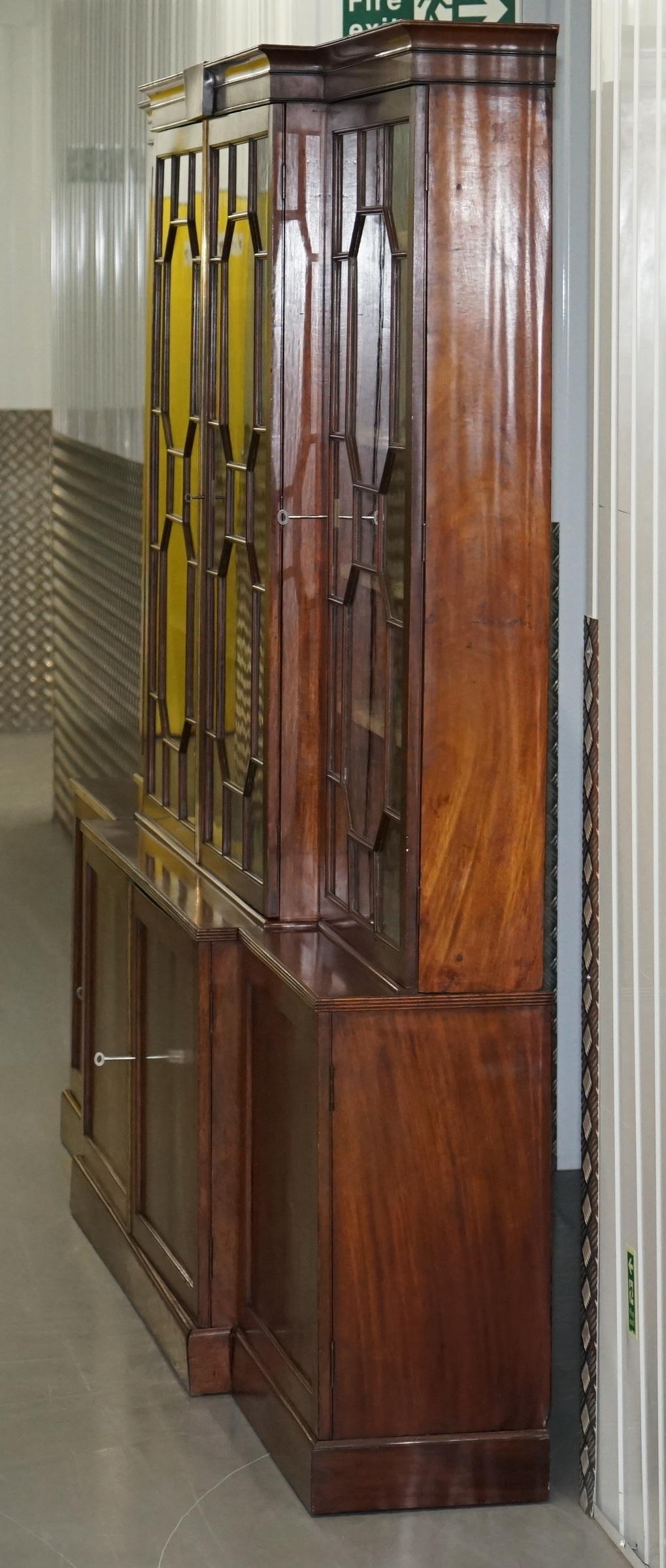 Regency circa 1820 Astral Glazed Breakfront Library Bookcase Pharmacy Cabinet 7