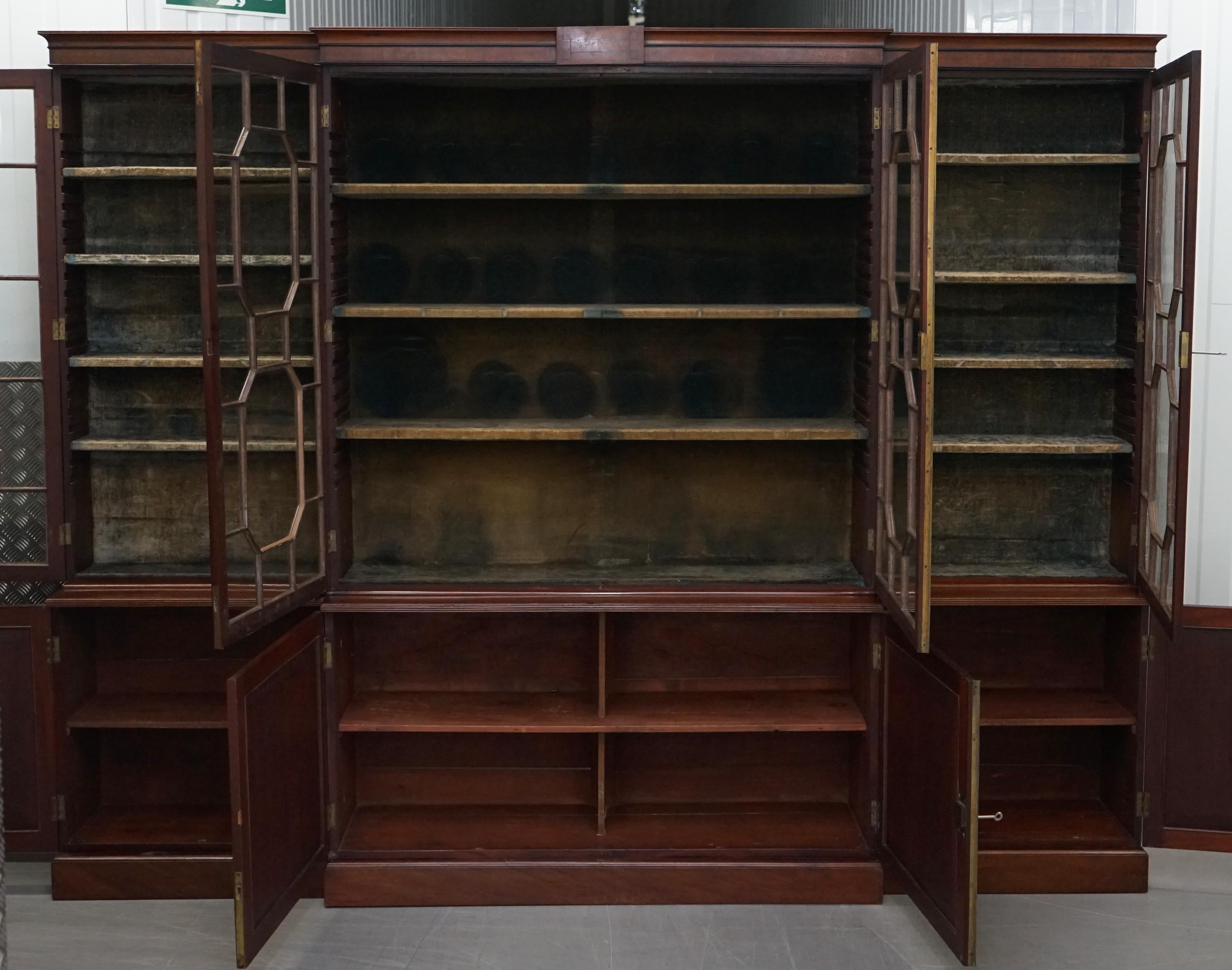 Regency circa 1820 Astral Glazed Breakfront Library Bookcase Pharmacy Cabinet 8