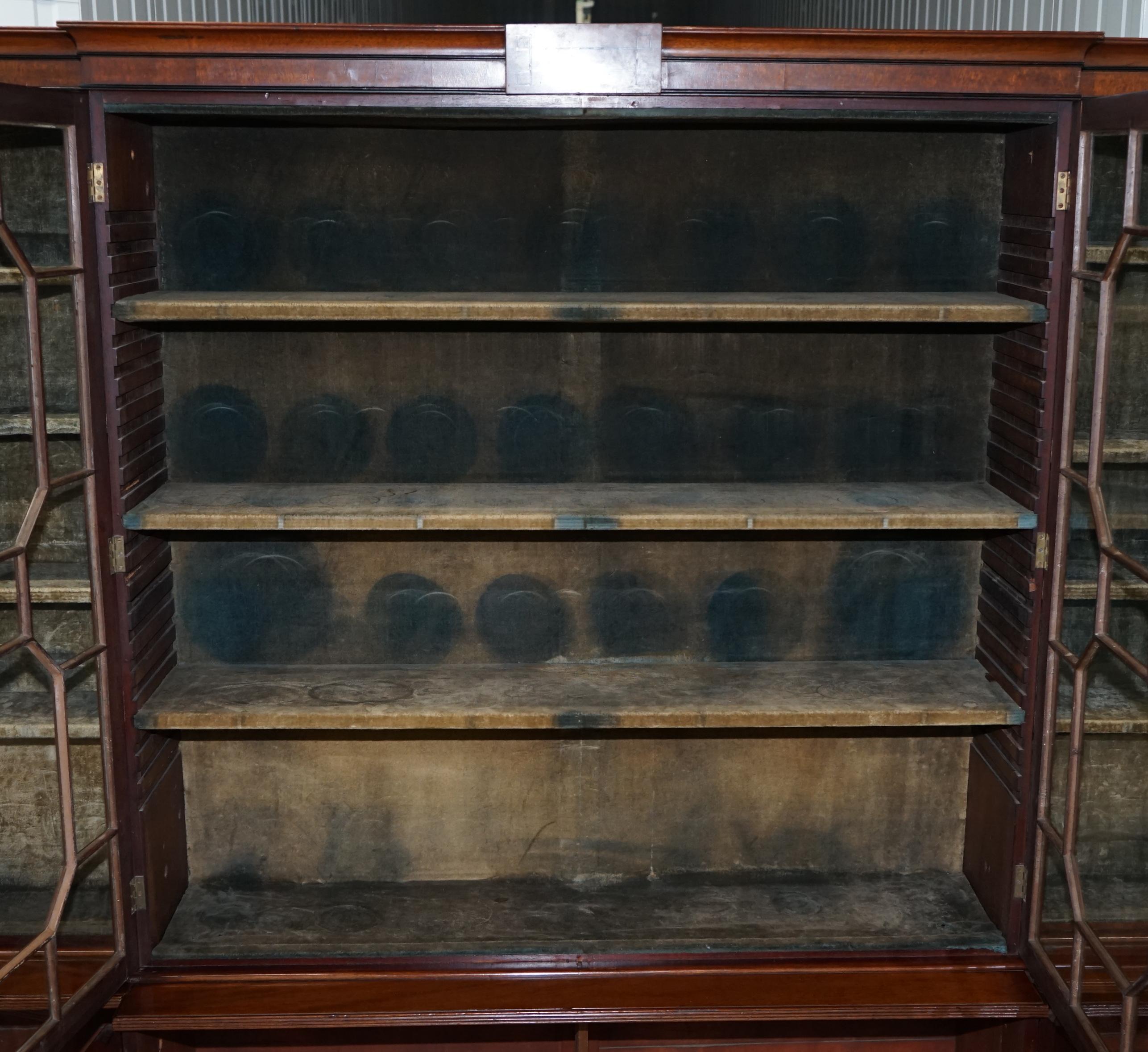 Regency circa 1820 Astral Glazed Breakfront Library Bookcase Pharmacy Cabinet 9