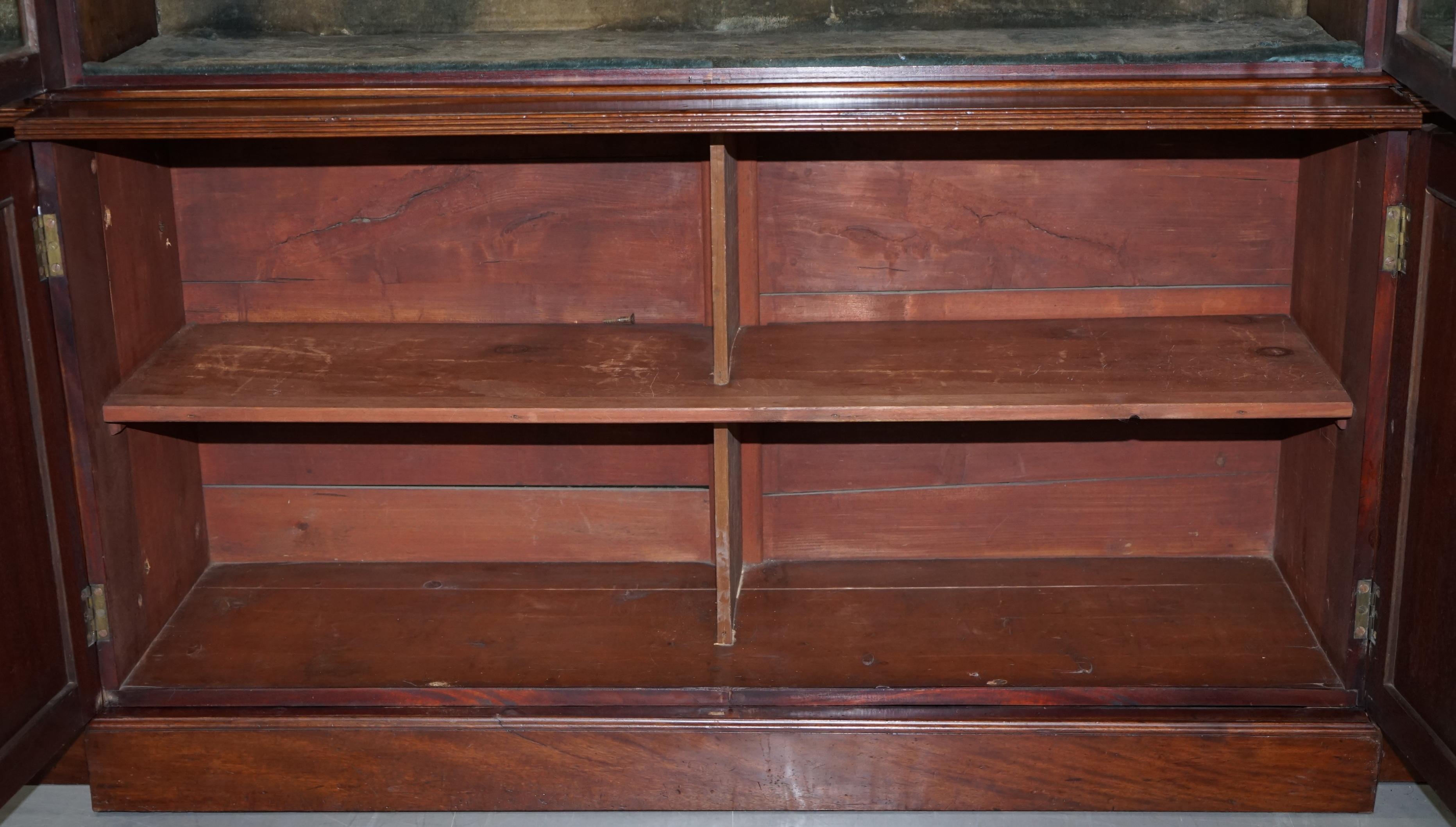 Regency circa 1820 Astral Glazed Breakfront Library Bookcase Pharmacy Cabinet 12