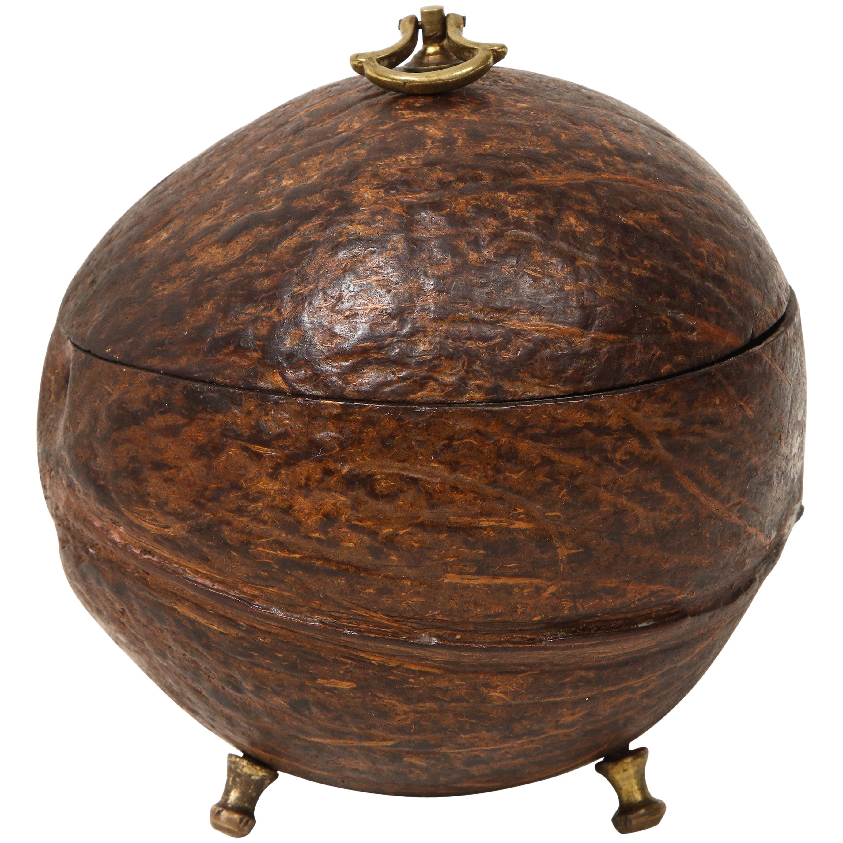Regency Coconut Shell Tea Caddy