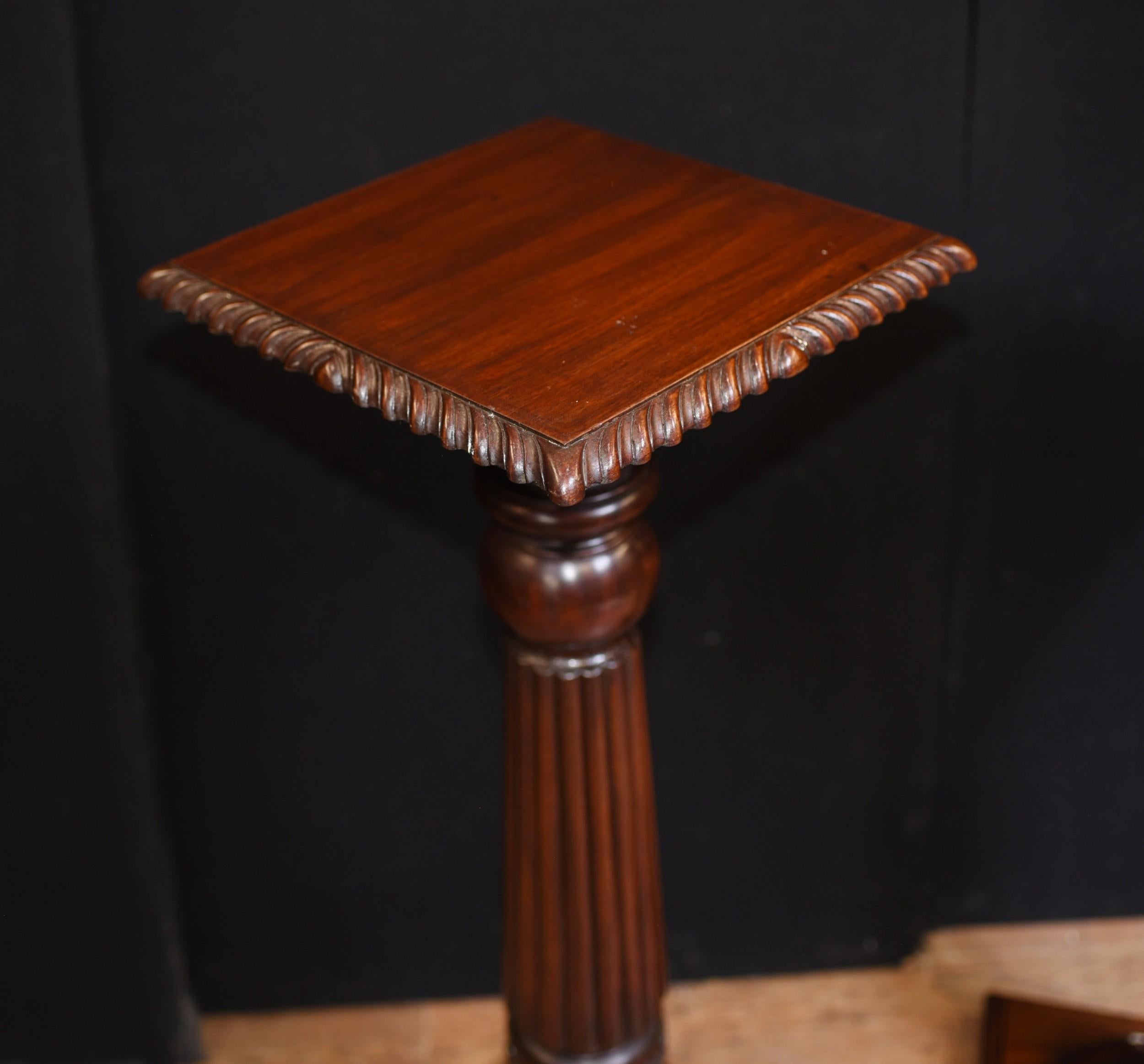Early 20th Century Regency Column Tables, Mahogany Pedestal For Sale