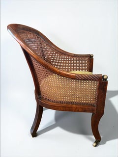 Regency Faux Rosewood Bergere arm chair