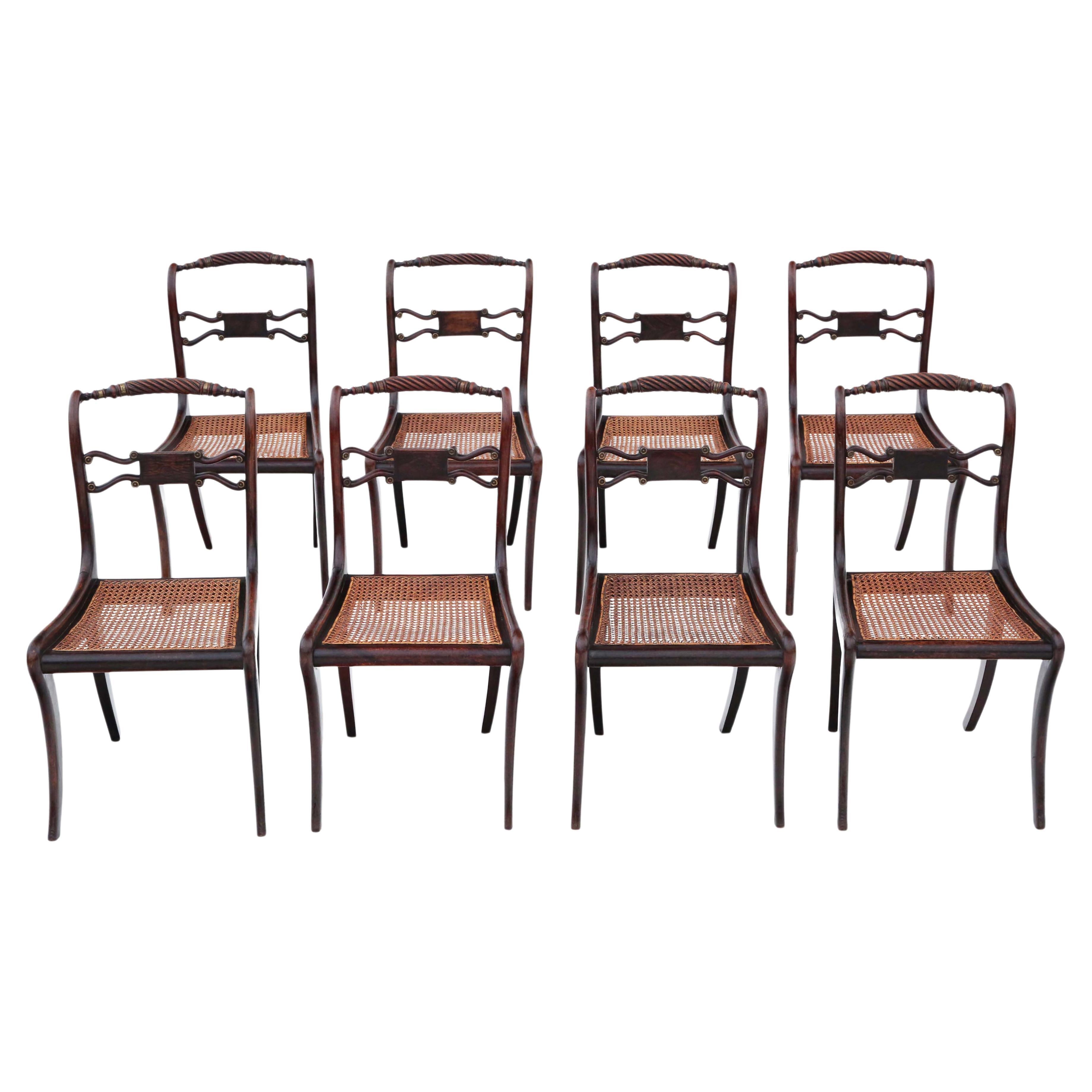 Regency Faux Rosewood Dining Chairs: Set of 8, Antique Quality, 19th Century