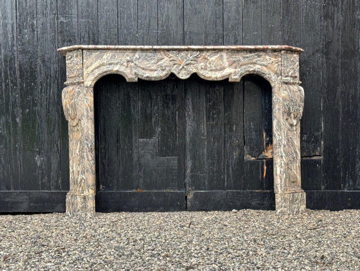 Regency Fireplace In Gray Ardennes Marble, 18th Century For Sale 1