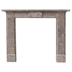 Regency Gothic Derbyshire Fossil Limestone Fireplace