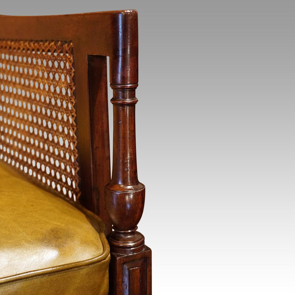 English Regency mahogany bergere library chair 
