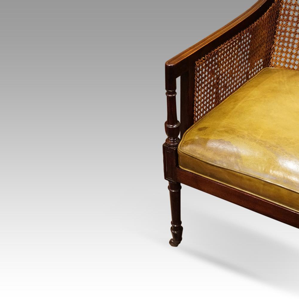 Early 19th Century Regency mahogany bergere library chair 