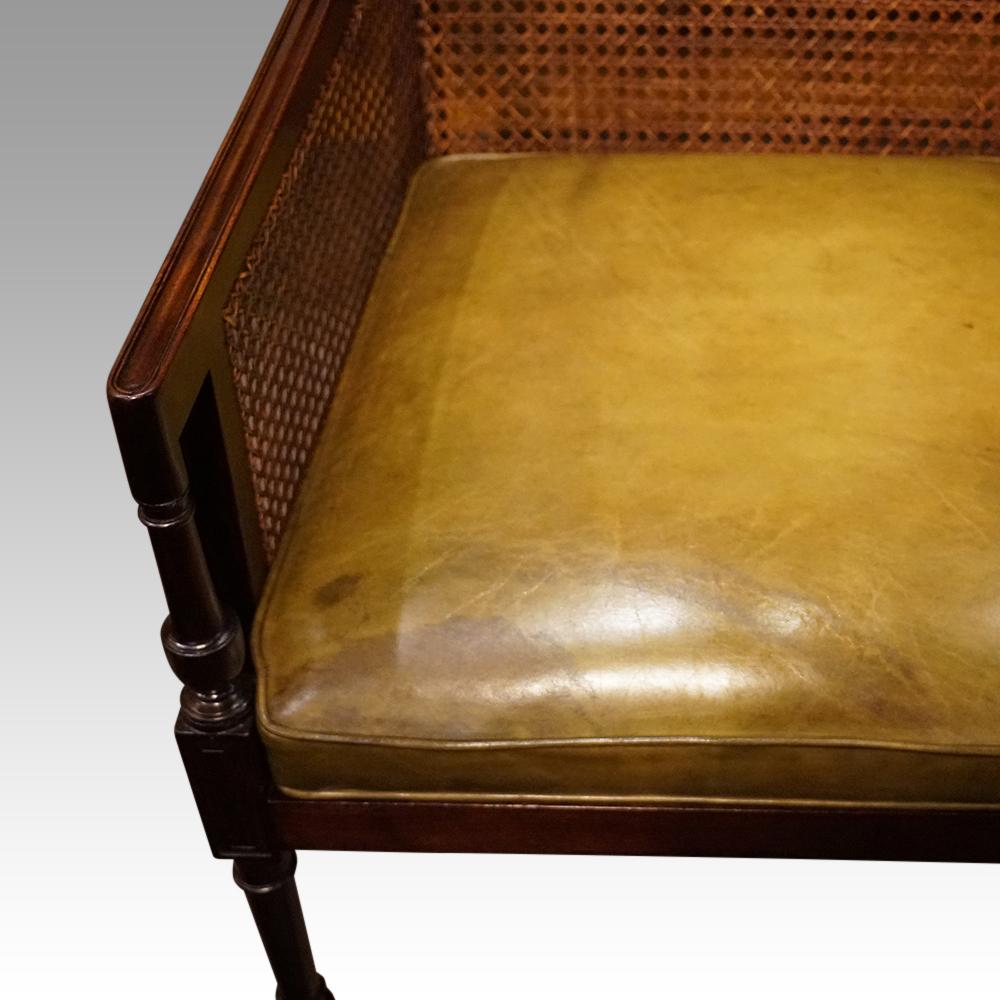 Regency mahogany bergere library chair  2