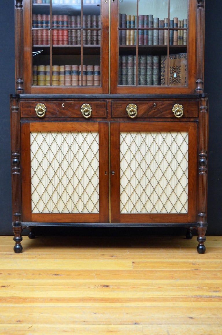 Regency Mahogany Bookcase For Sale at 1stDibs