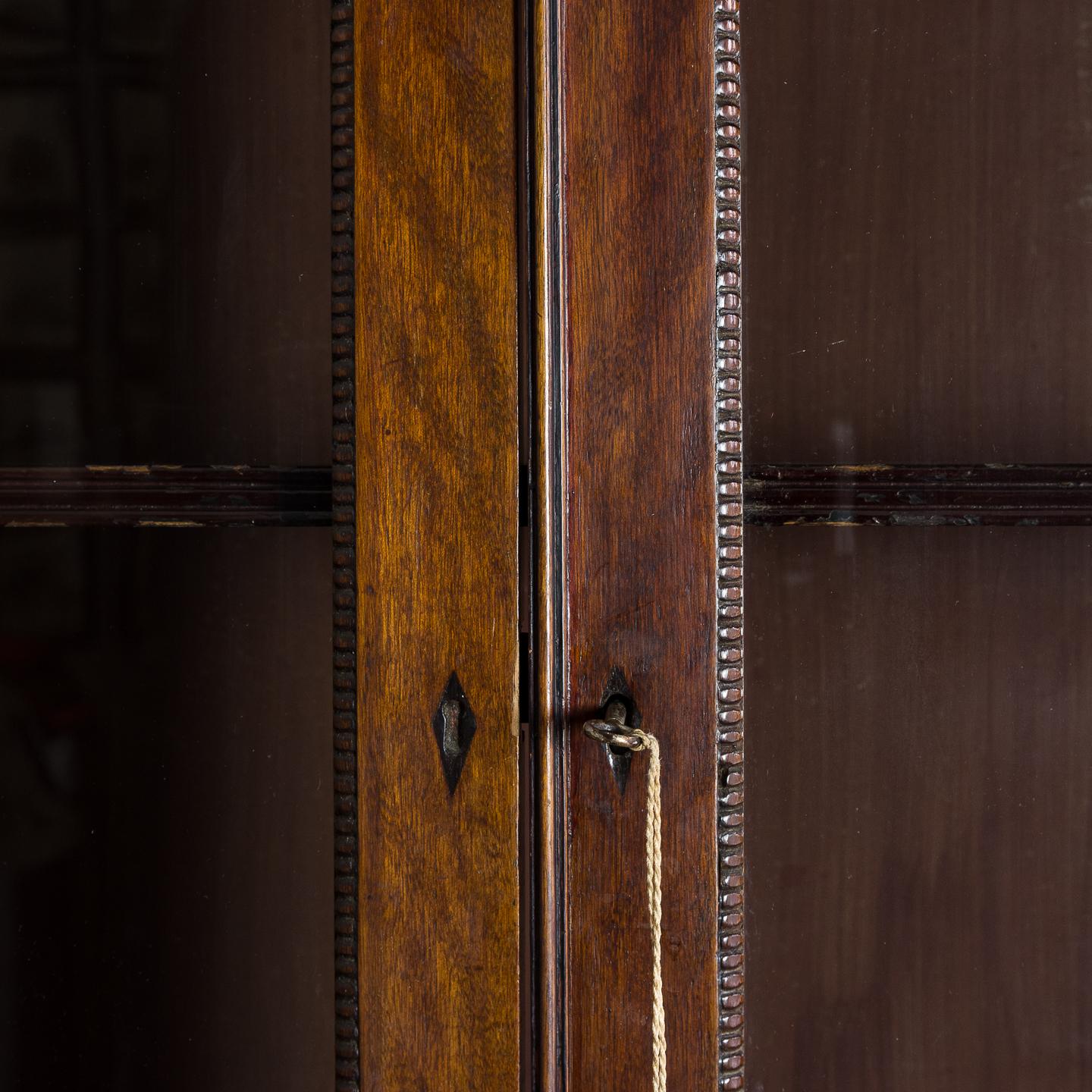 Regency Mahogany Bookcase 8