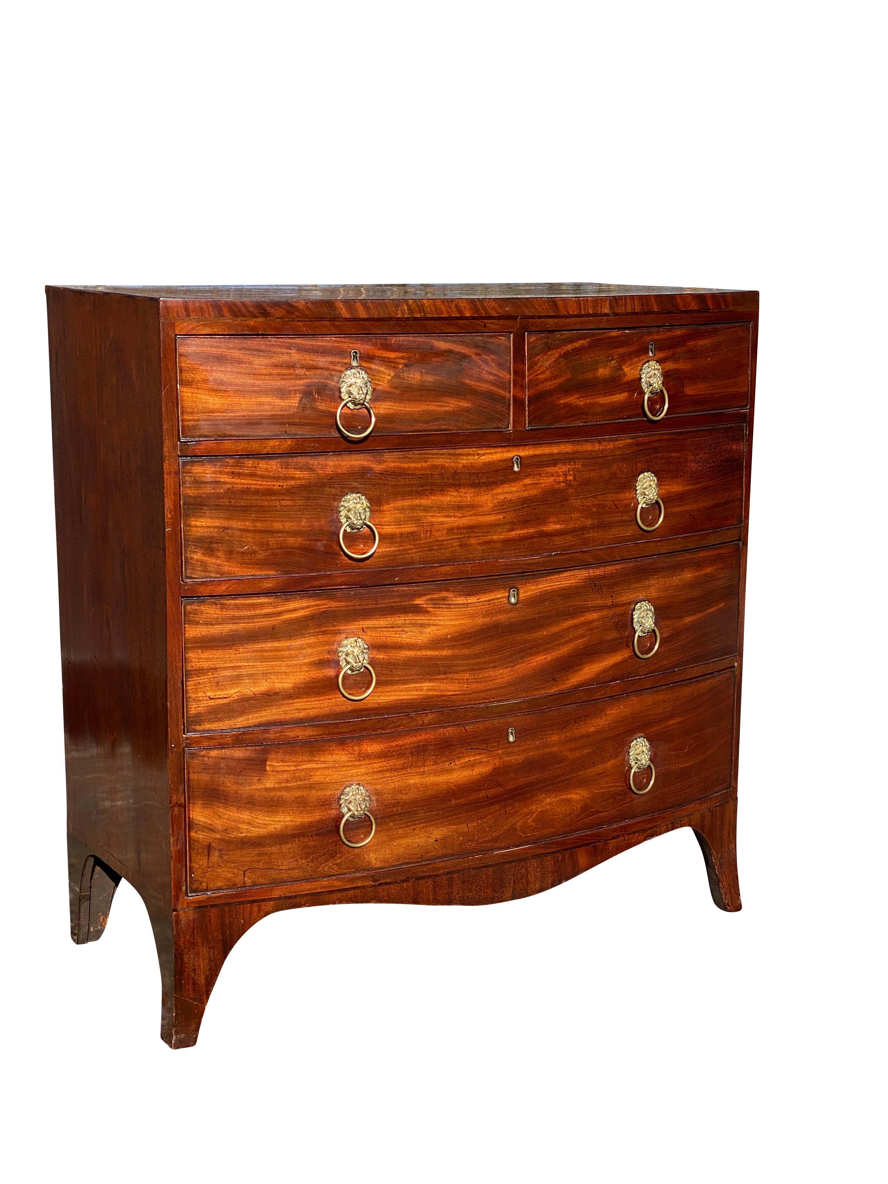 With bowed top over two short drawers over three long drawers, all drawers with brass lions head pulls. Splayed feet.