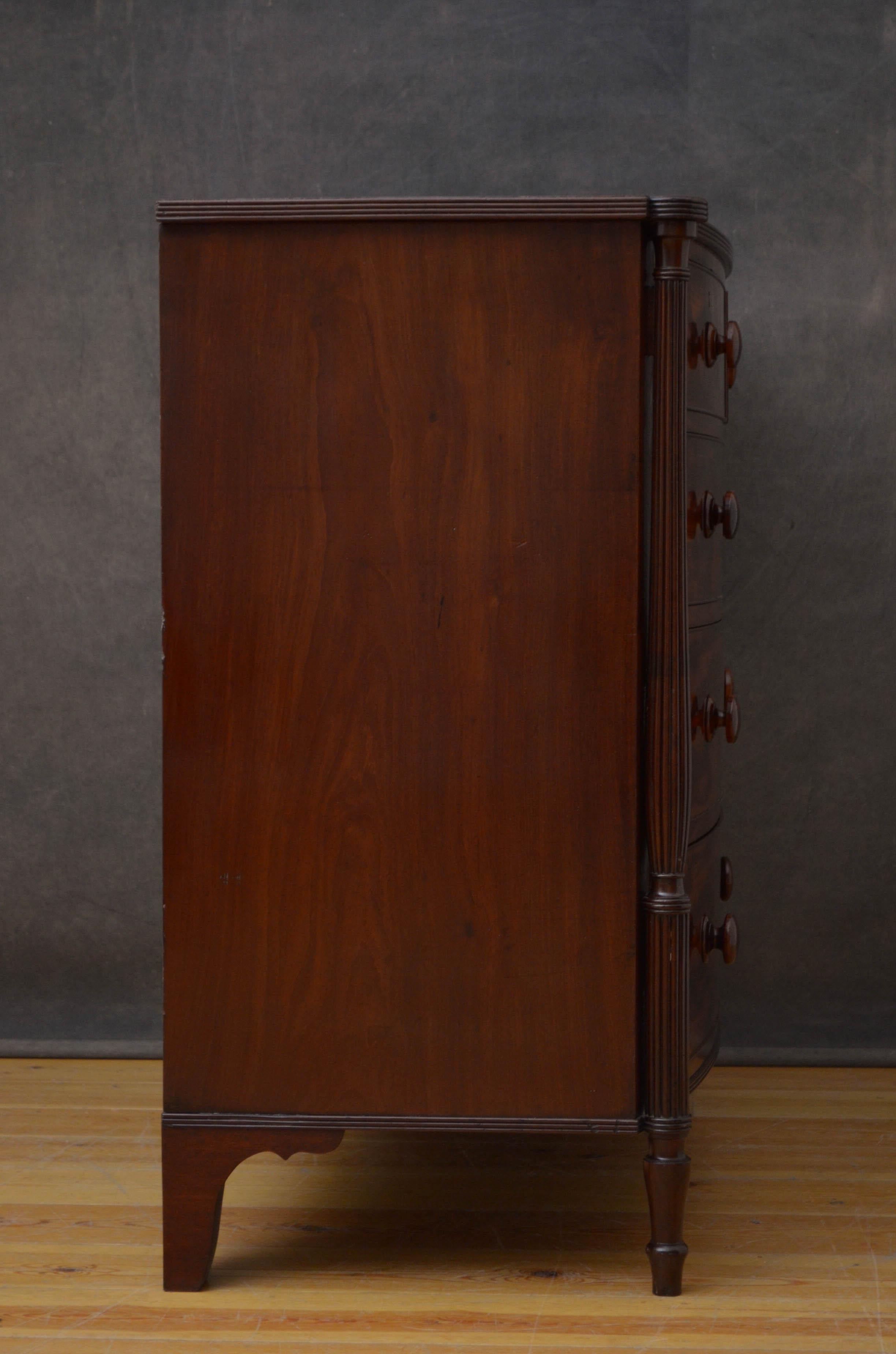 Regency Mahogany Bowfronted Chest of Drawers 6