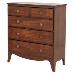 Regency Mahogany Chest of Drawers, Early 19th Century, 5-Drawer Design