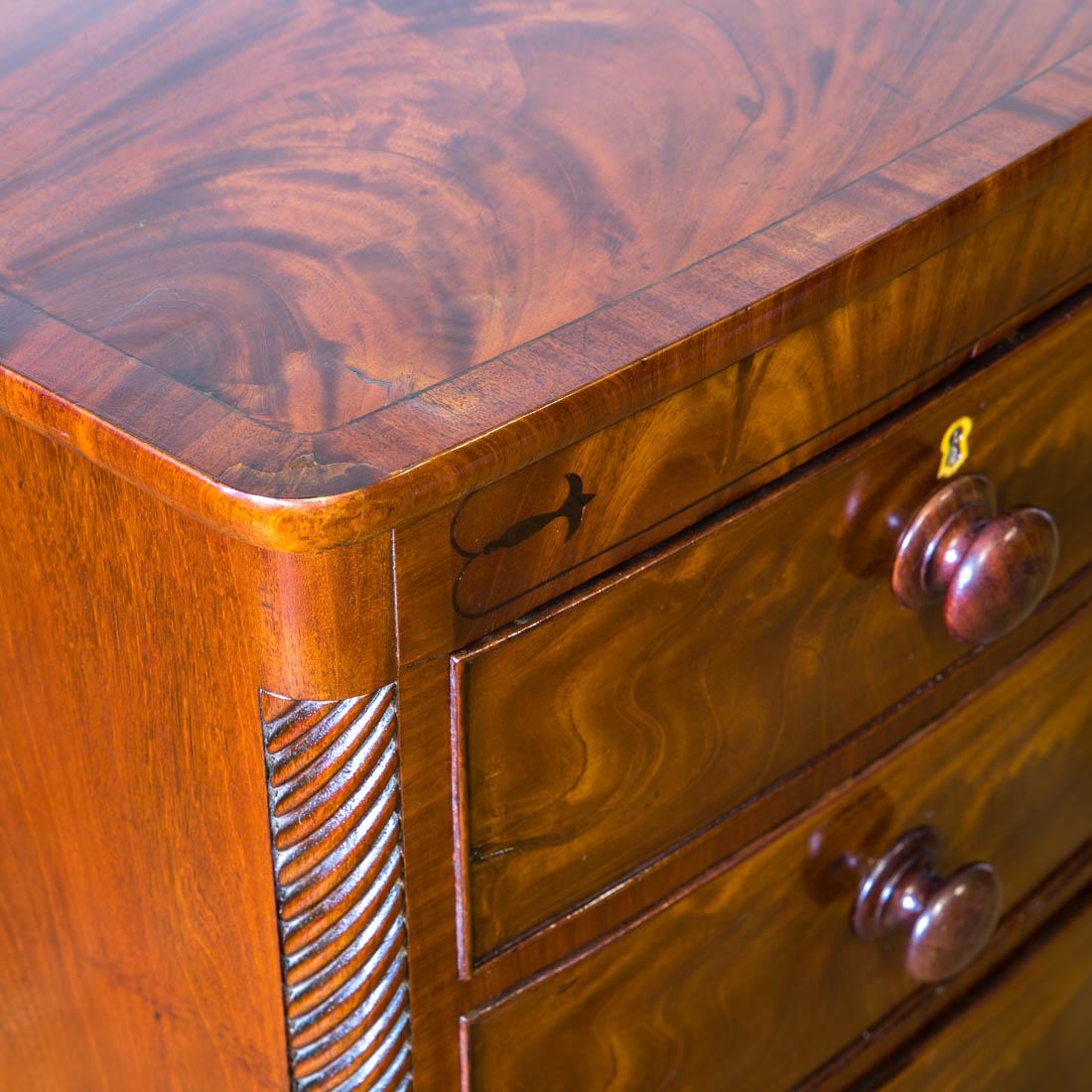 Regency Mahogany Chest of Drawers For Sale 5