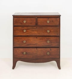 Regency Mahogany Chest of Drawers, Early 19th Century, 5-Drawer Design