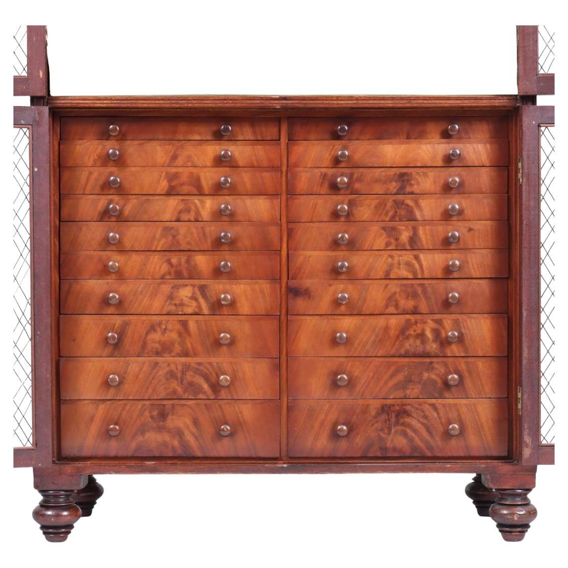 English Regency Mahogany Collector's Display Cabinet For Sale