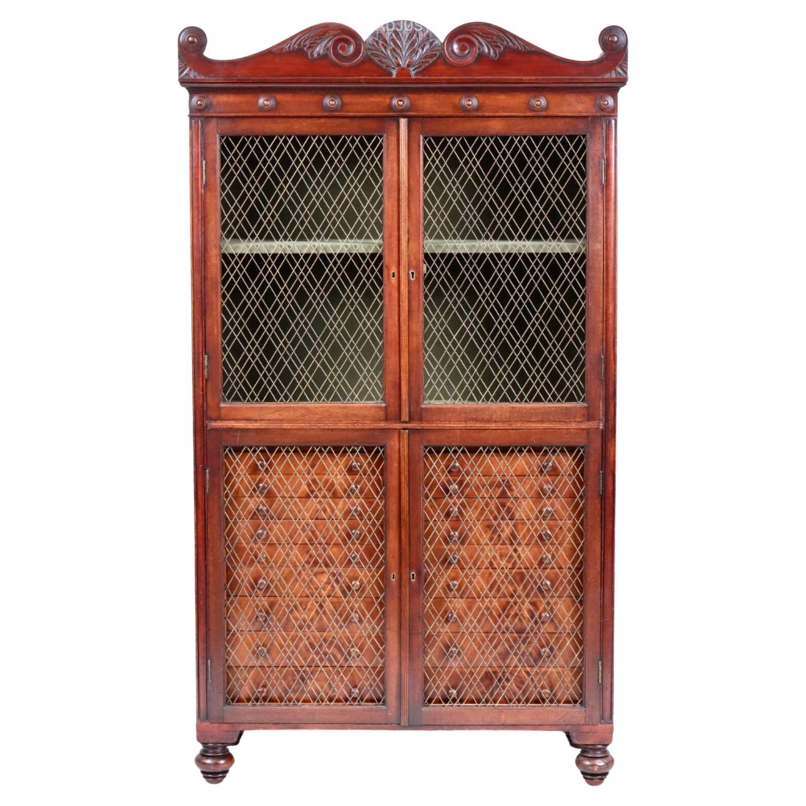 Regency Mahogany Collector's Display Cabinet For Sale 3