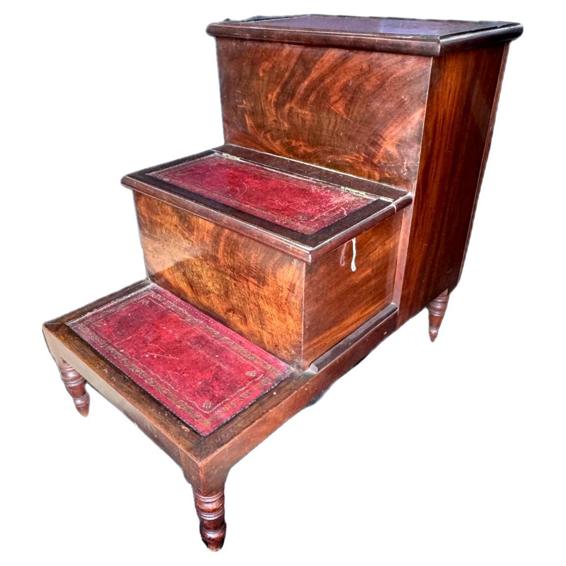 Regency Mahogany Library or Bedside Steps For Sale